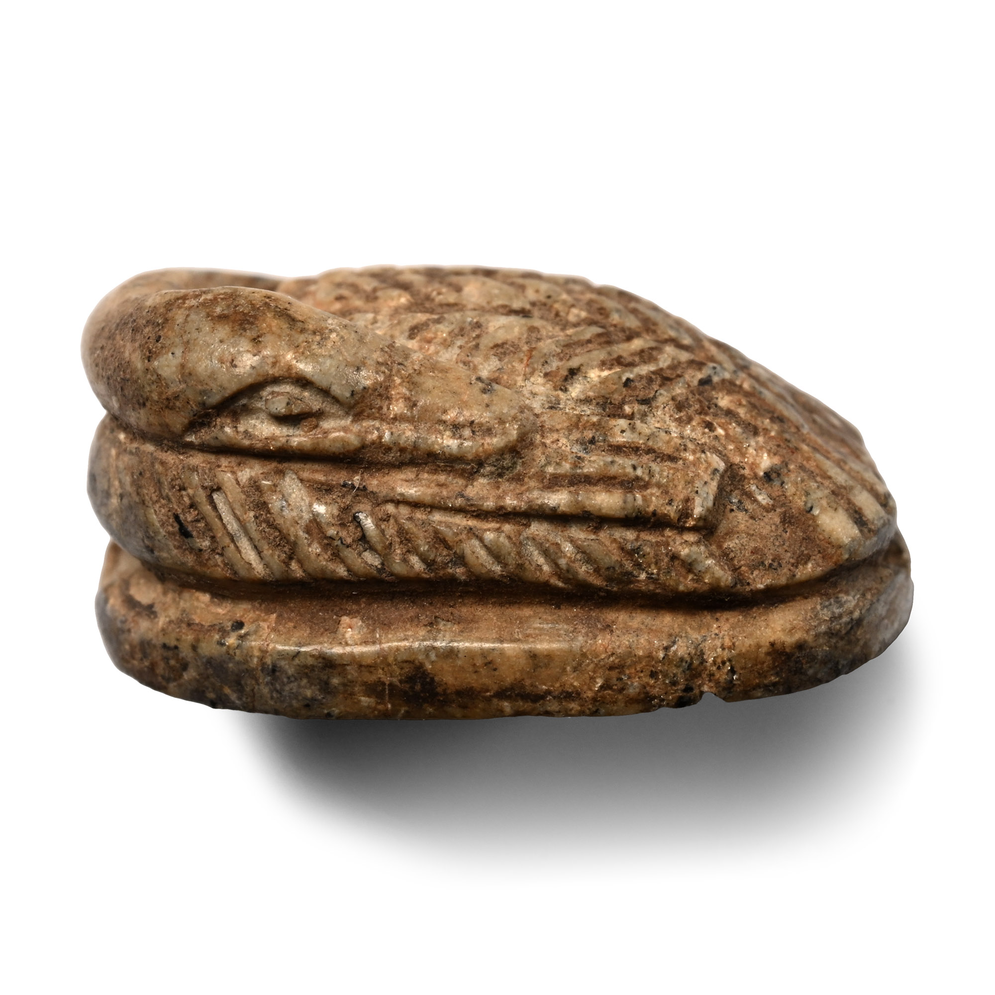 Egyptian Faience Duck Scaraboid with Hieroglyphs