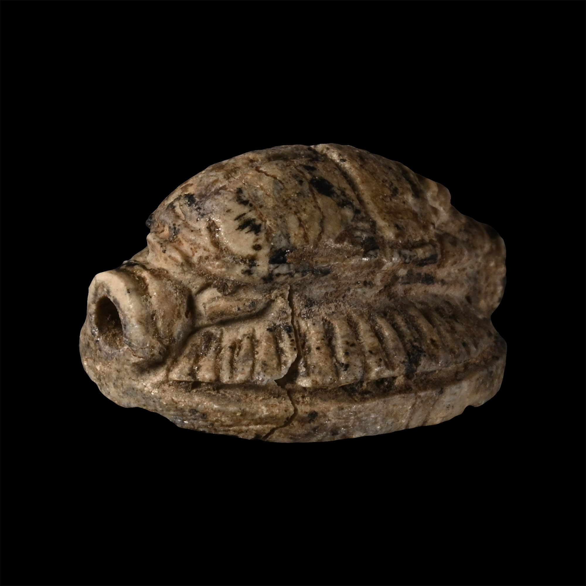 Egyptian Faience Scarab with Hieroglyphs
