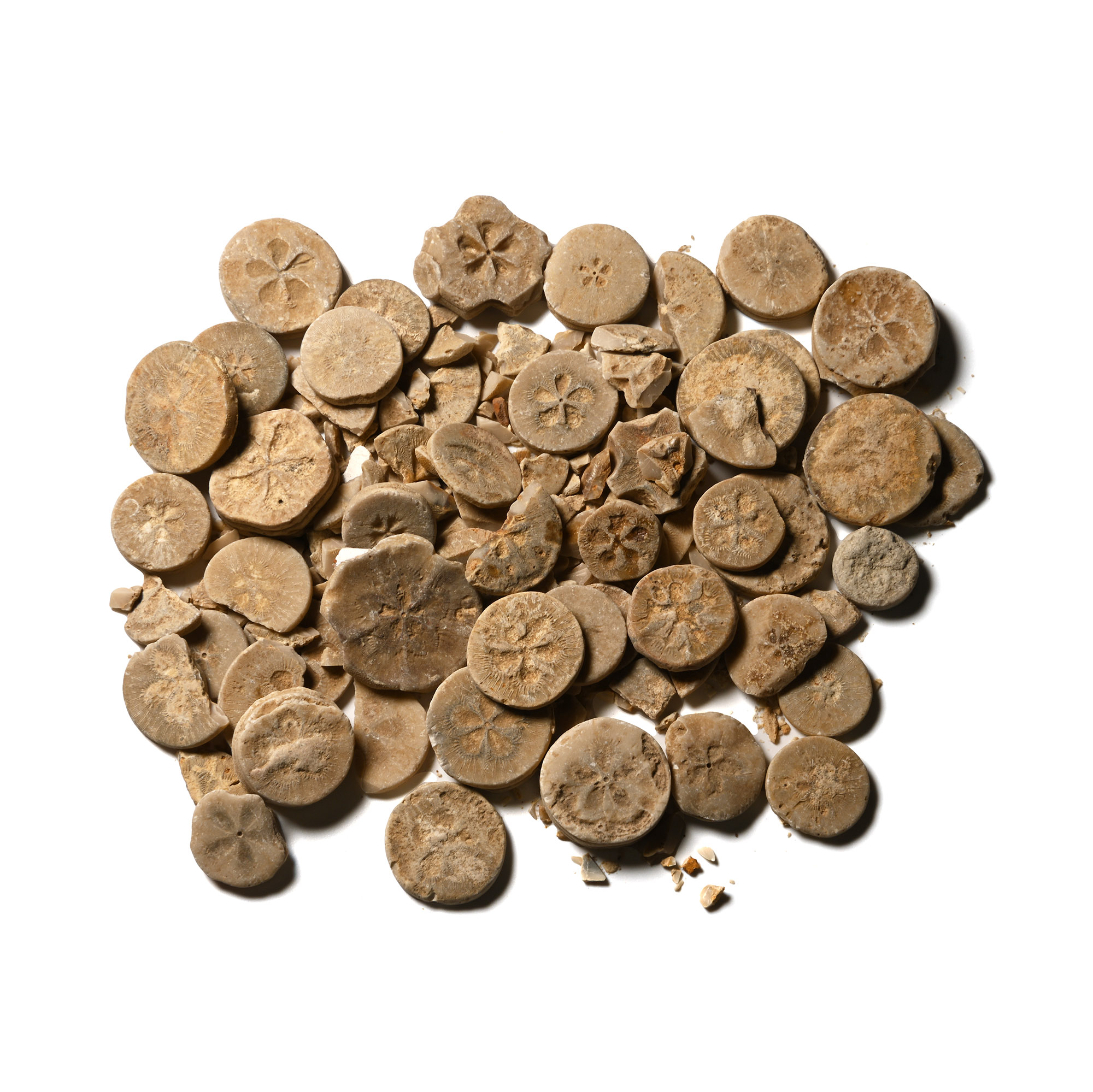 Egyptian Limestone Floral Inlay Group