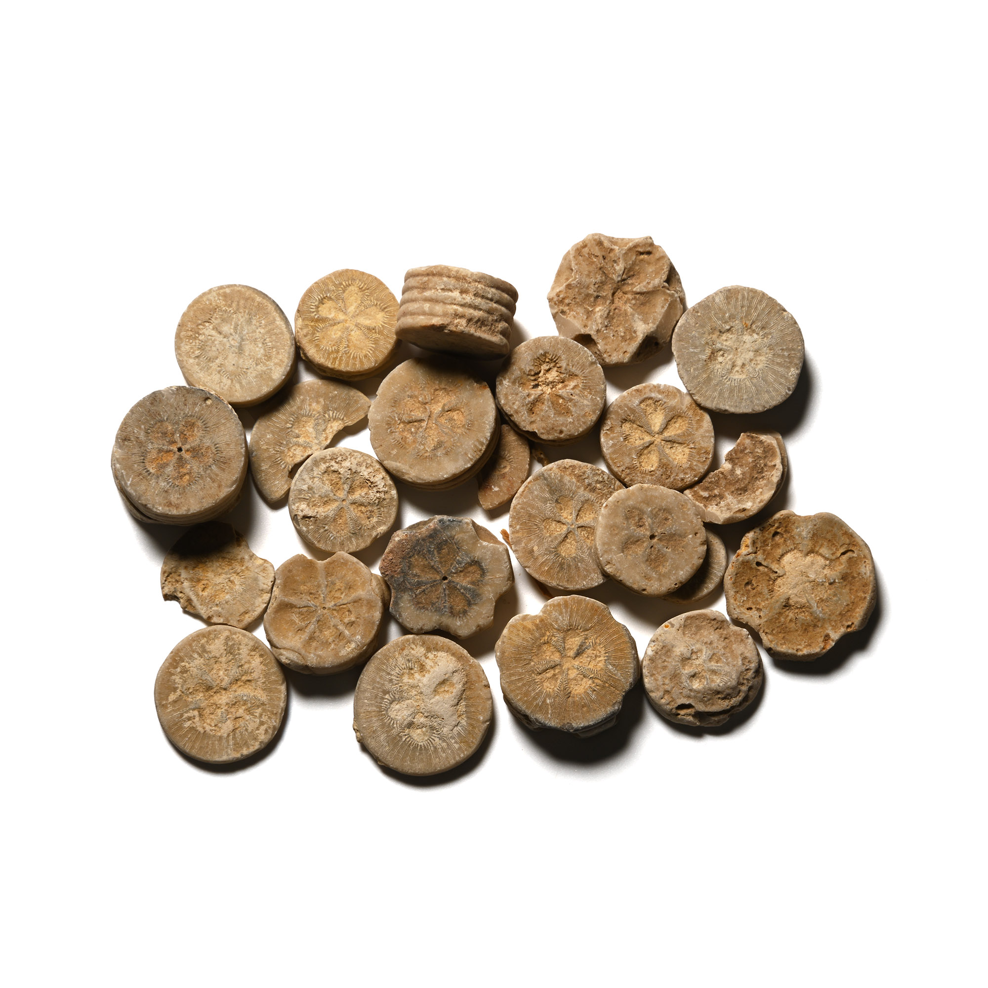 Egyptian Limestone Floral Inlay Group