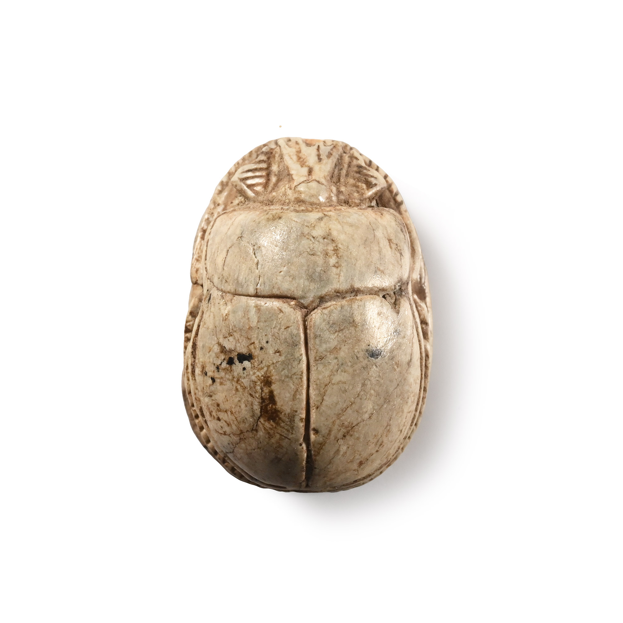 Egyptian Steatite Pharaoh Thutmose III Royal Scarab