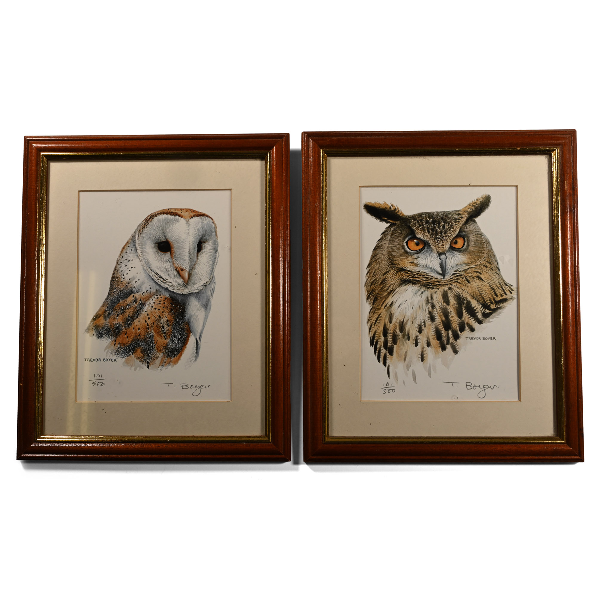 Trevor Boyer - Limited Edition Framed Owl Print Pair