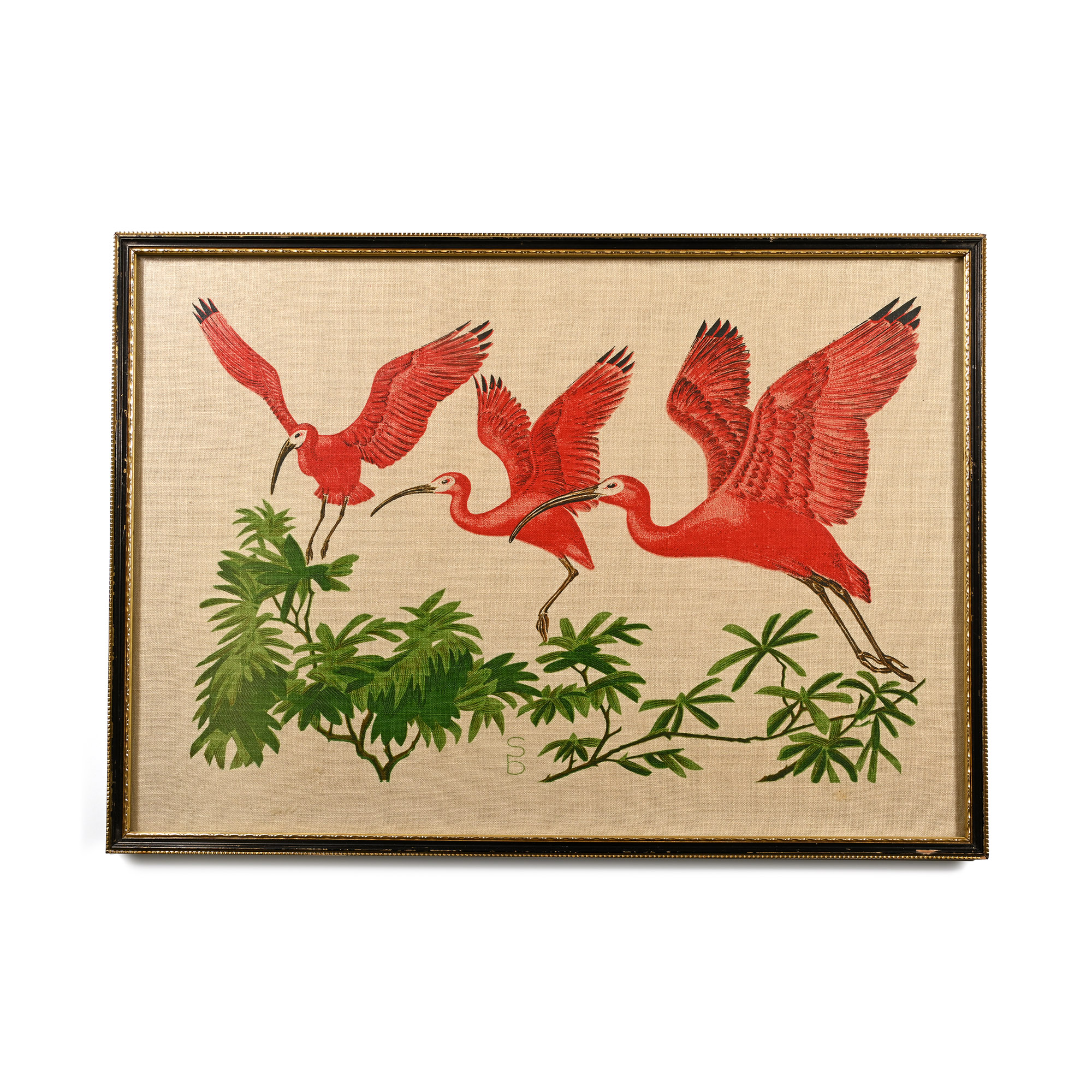 Framed Scarlet Ibis in Flight on Linen