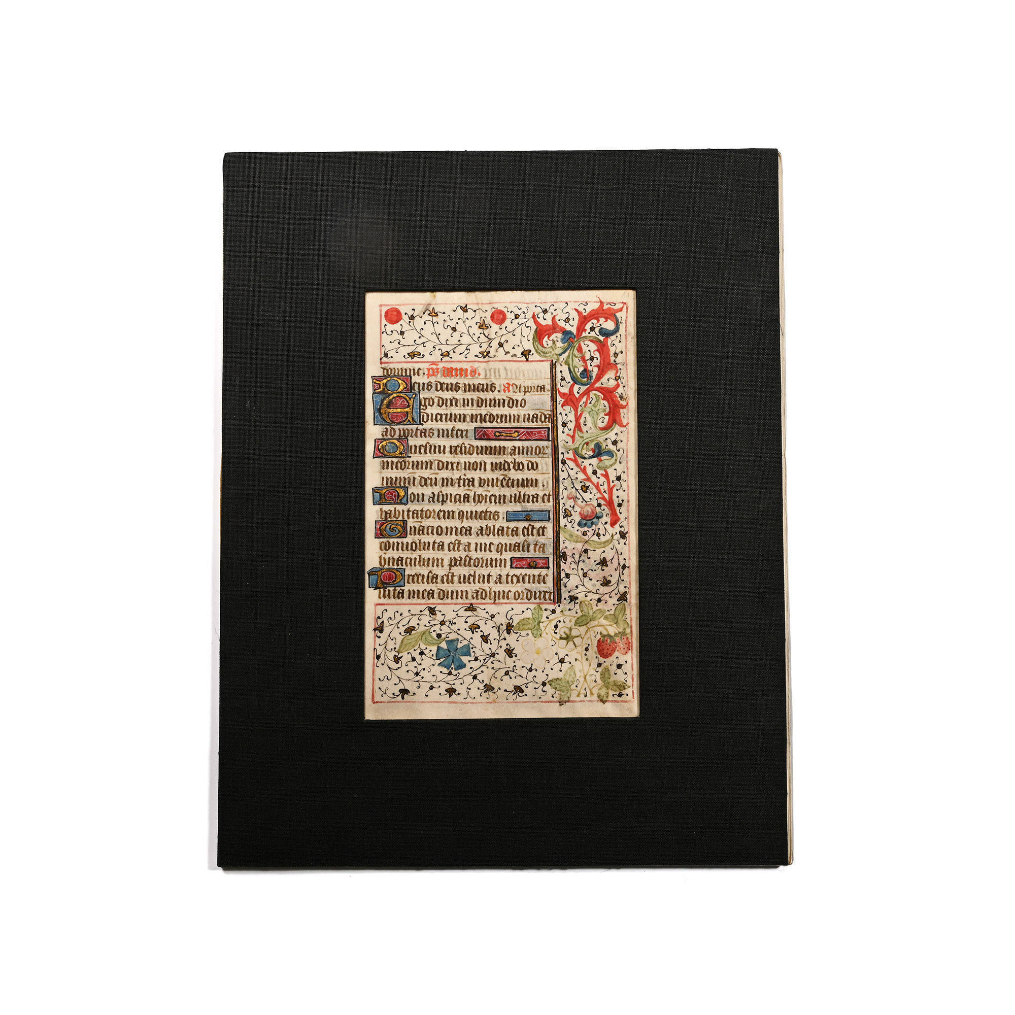 Medieval Bifacial Illuminated Book of Hours Vellum Manuscript Page