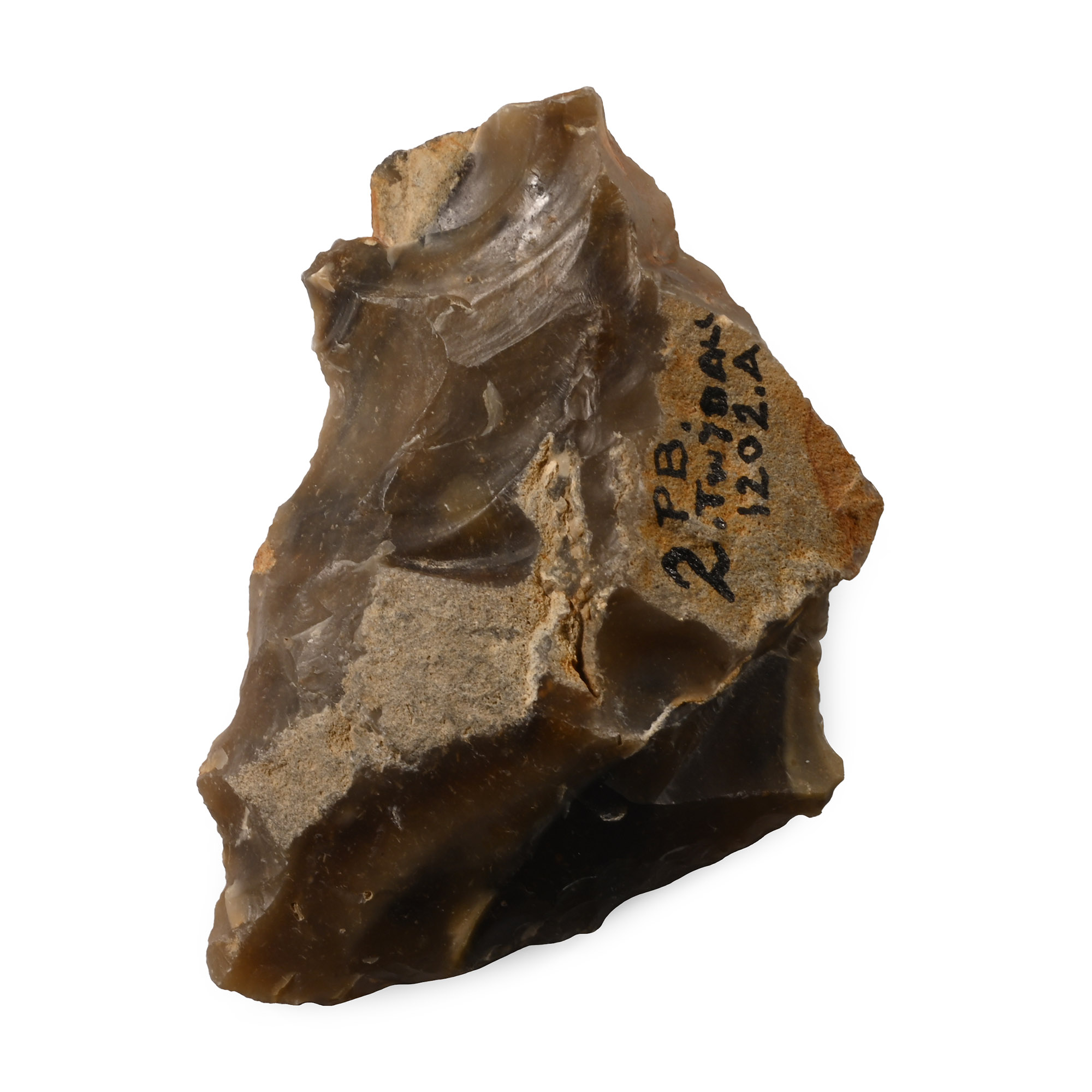 Stone Age Acheulian Twydall Flint Deniculate Flake Scraper