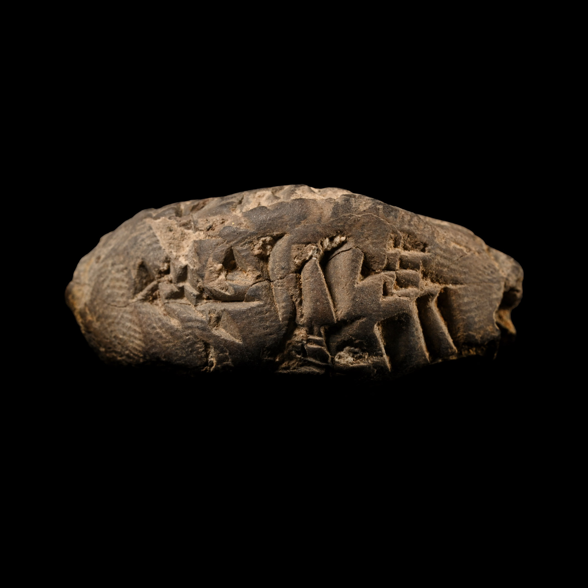 Old Babylonian Terracotta Cuneiform Tag Recording the Delivery of Sheep Carcasses