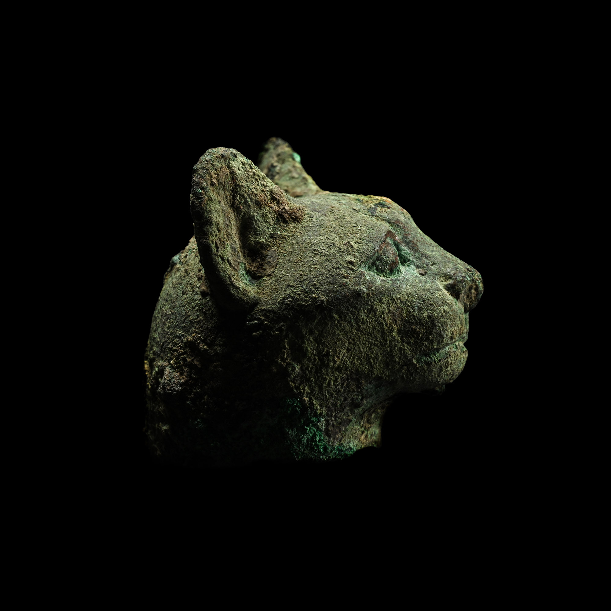 Egyptian Bronze Head of a Cat