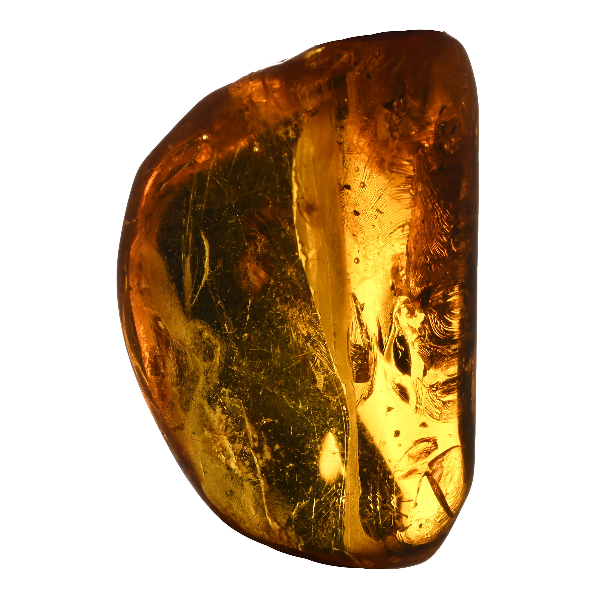 Polished Baltic Amber with Insect Inclusion