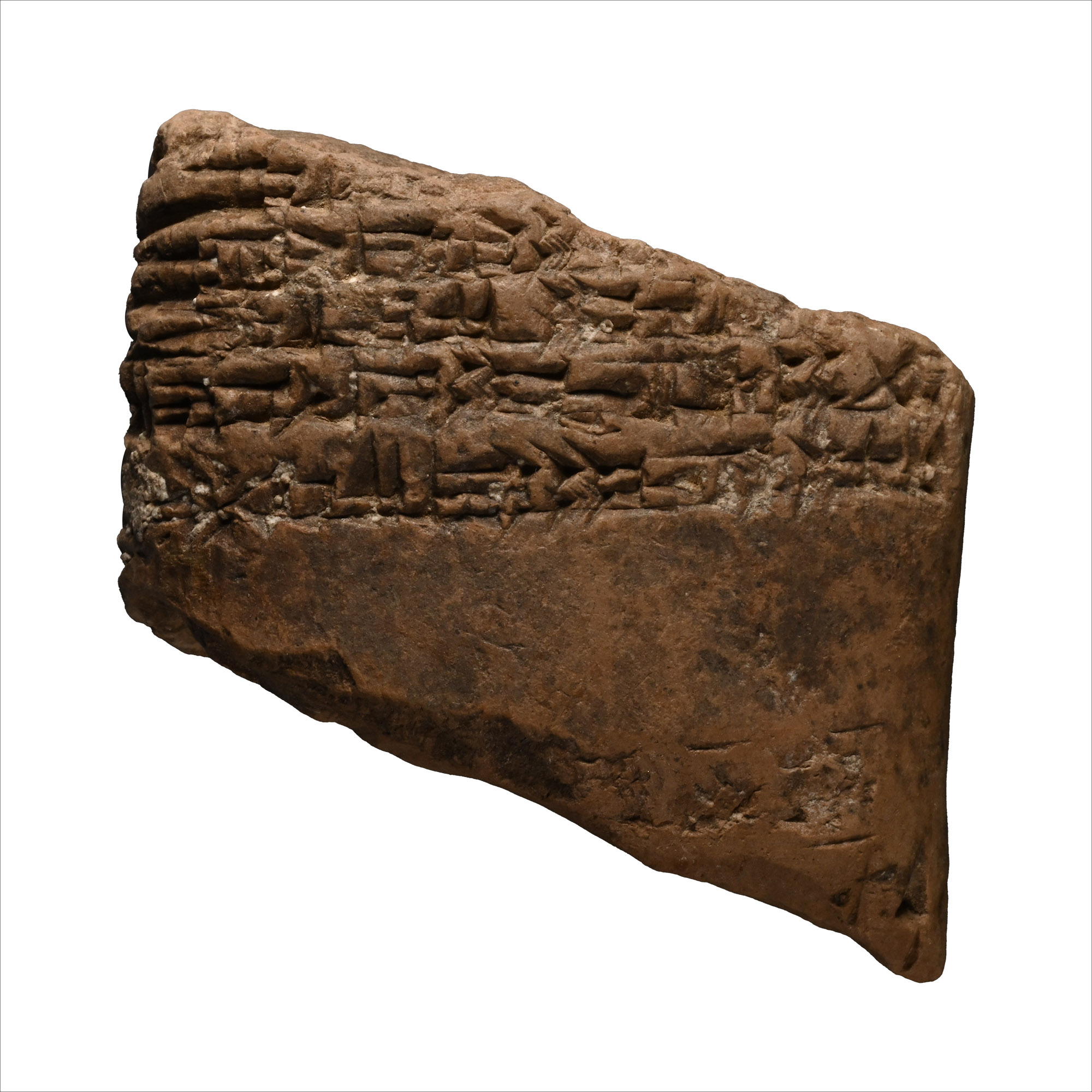 Old Babylonian Cuneiform Administrative Tablet Fragment