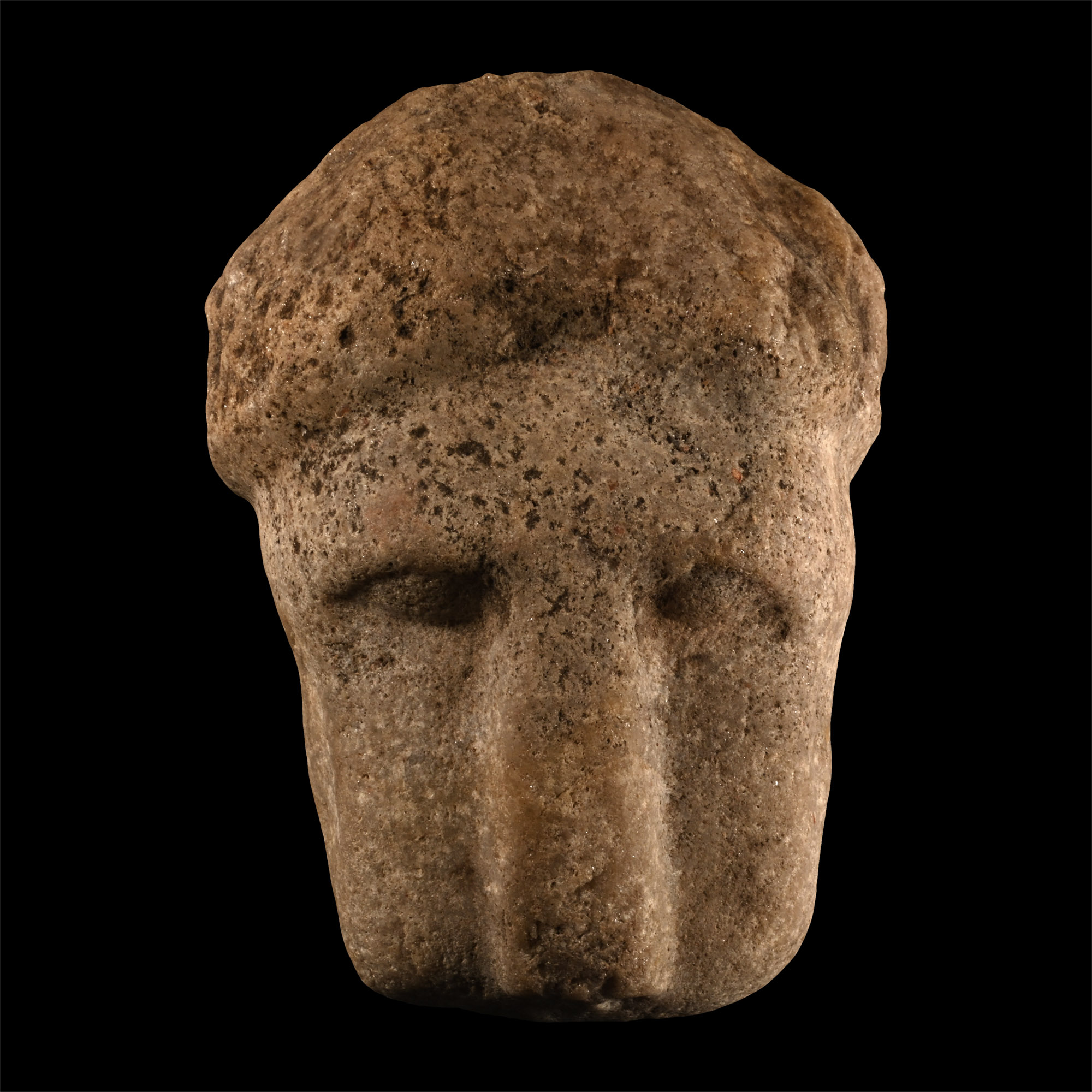 Western Asiatic Marble Head of a Lion