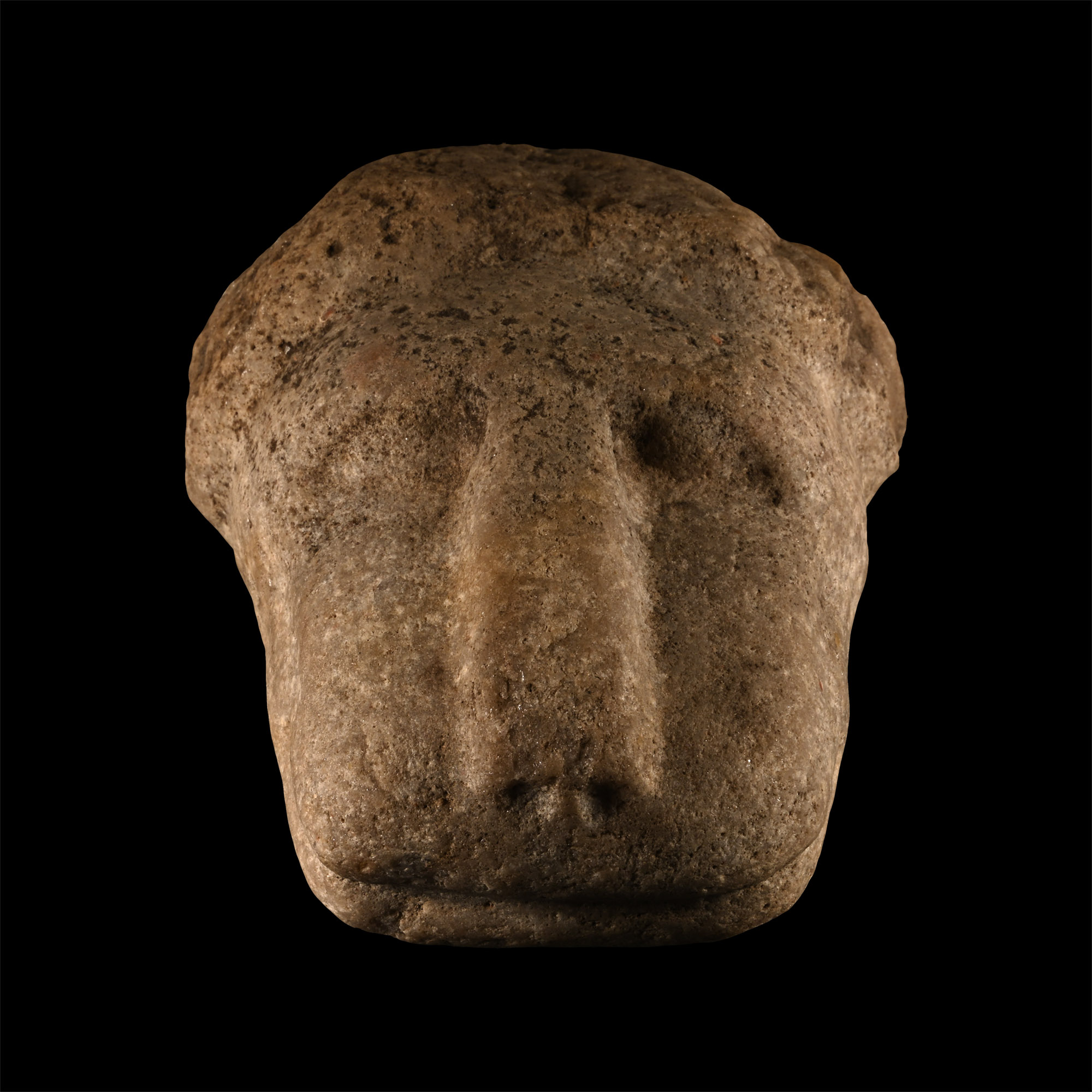 Western Asiatic Marble Head of a Lion