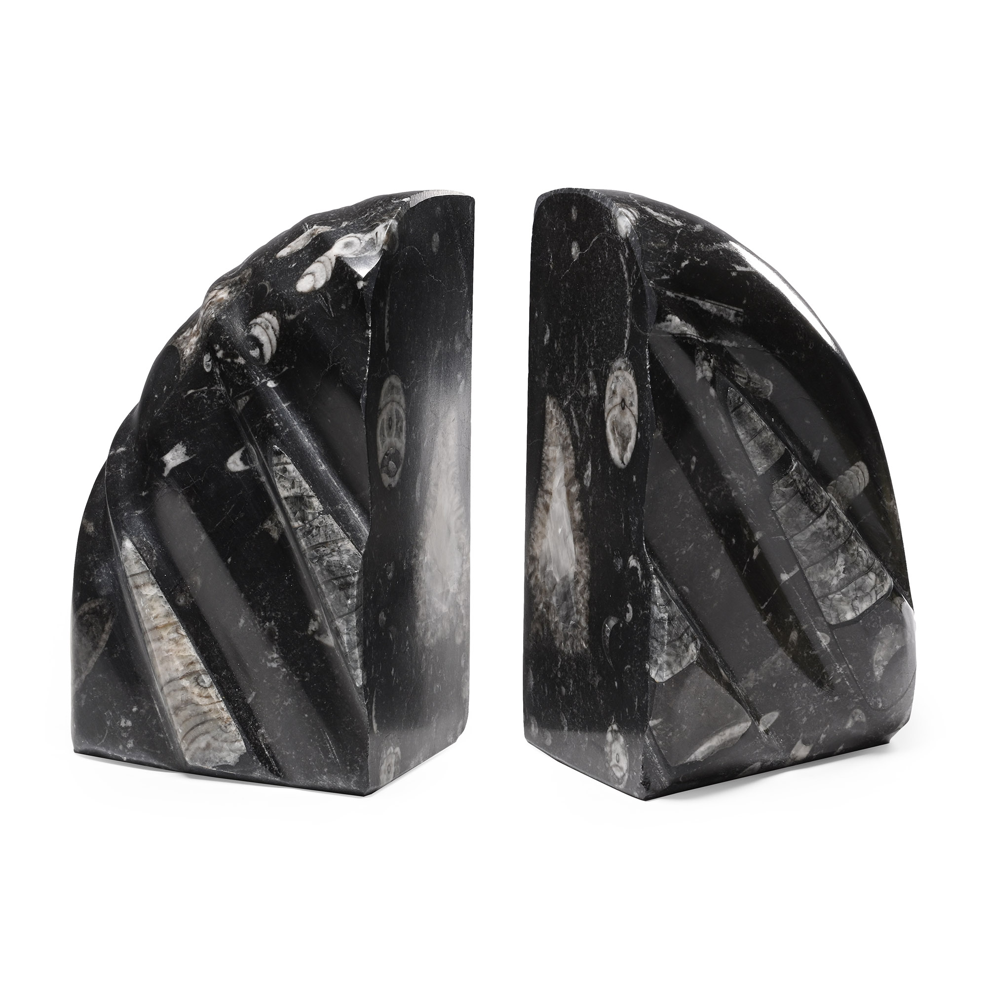 Polished Fossil Orthoceras Bookend Pair