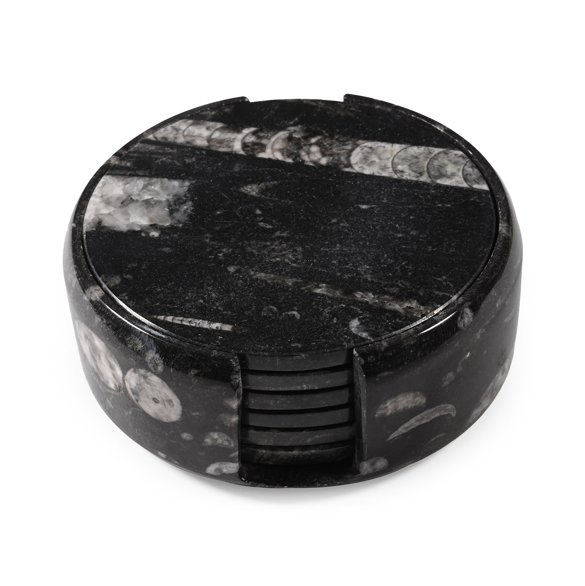 Polished Fossil Orthoceras Coaster Set
