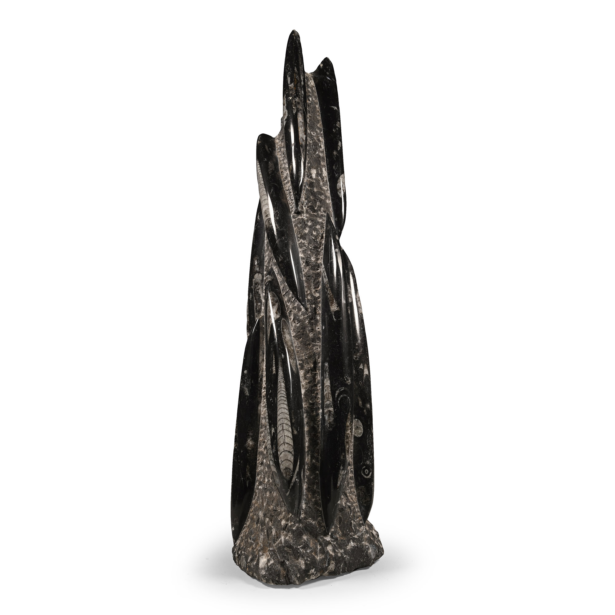 Polished Fossil Orthoceras Column