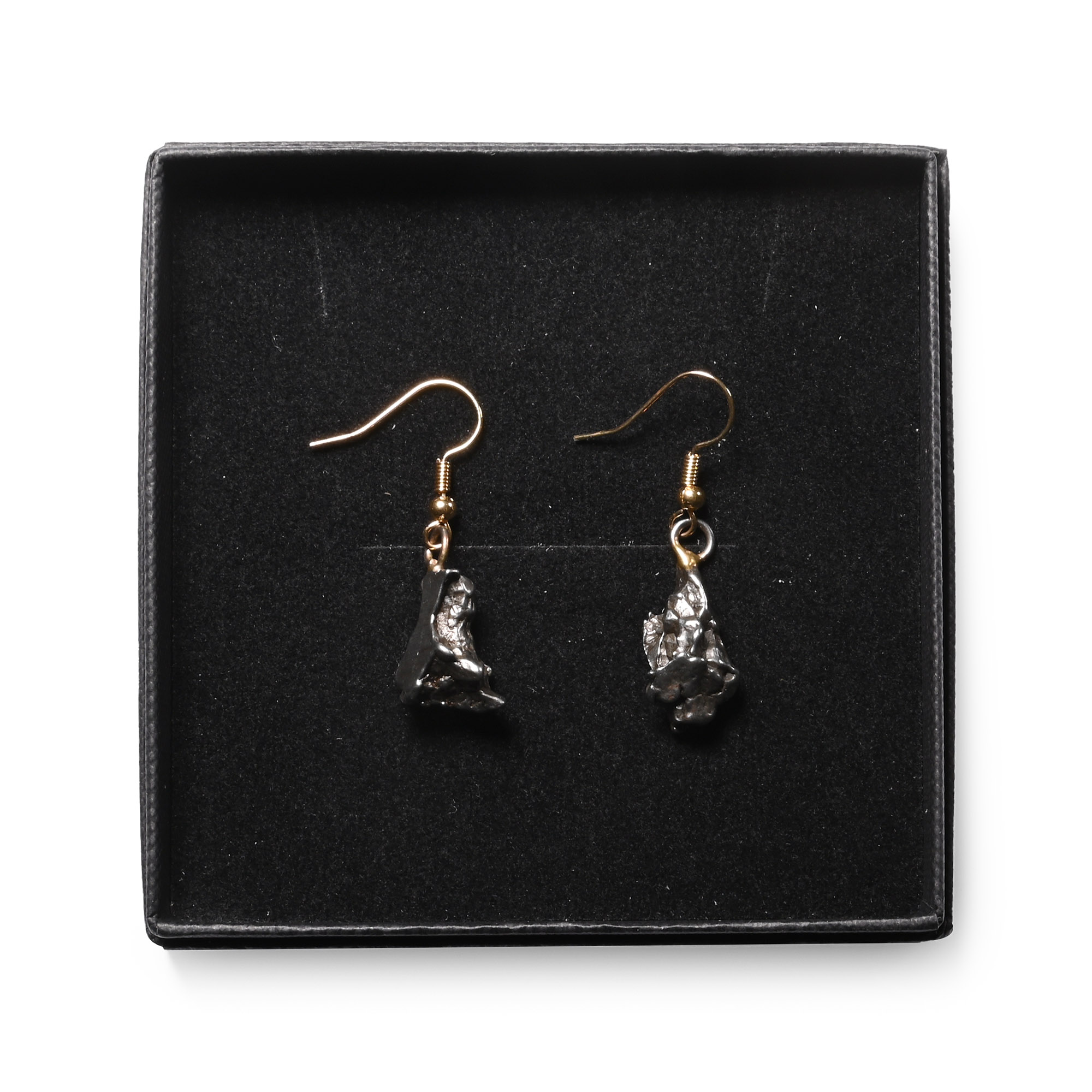 Campo Del Cielo Meteorite Earring Pair