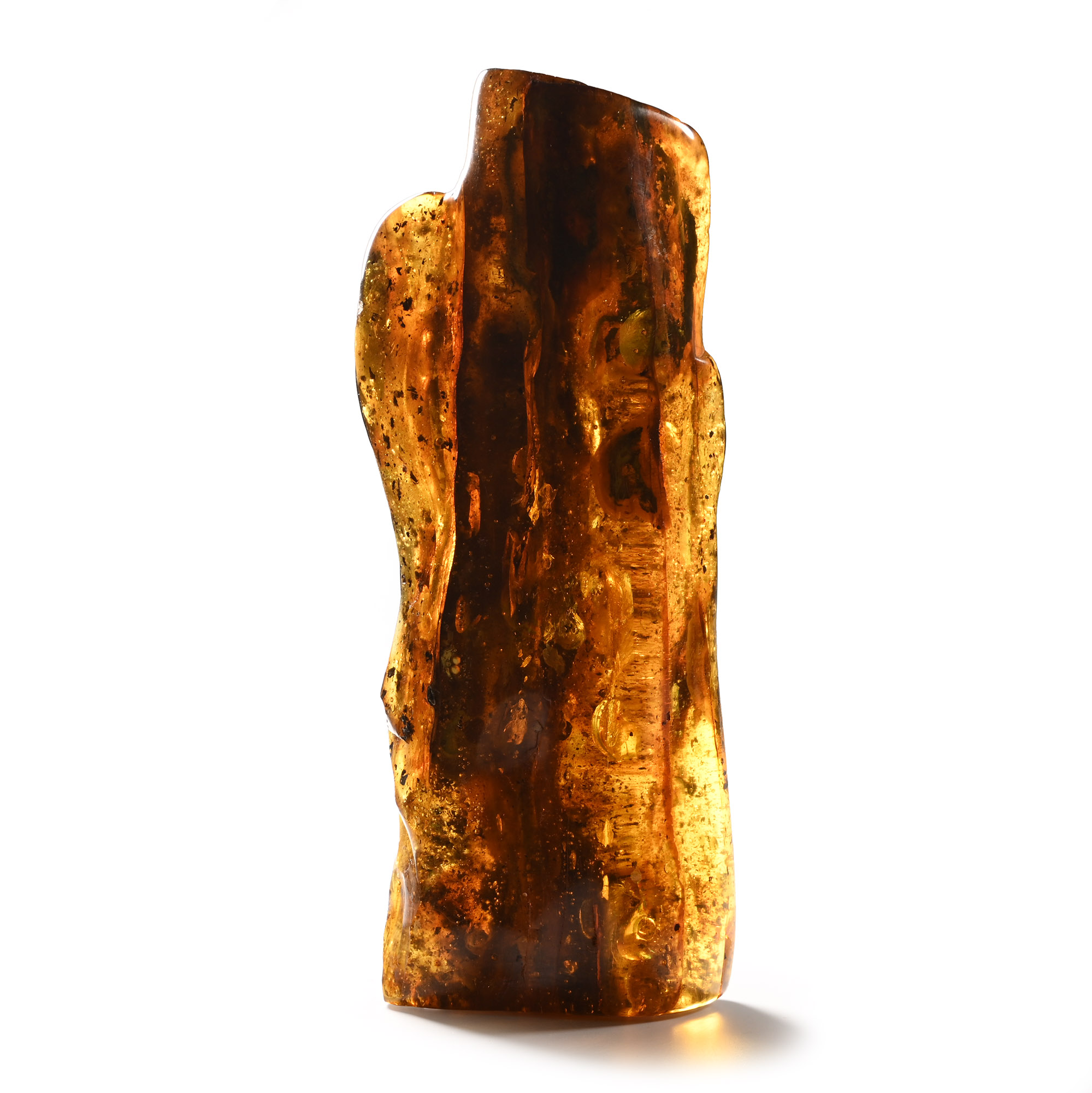 Large Polished Amber Specimen with Insects and Plant Inclusions