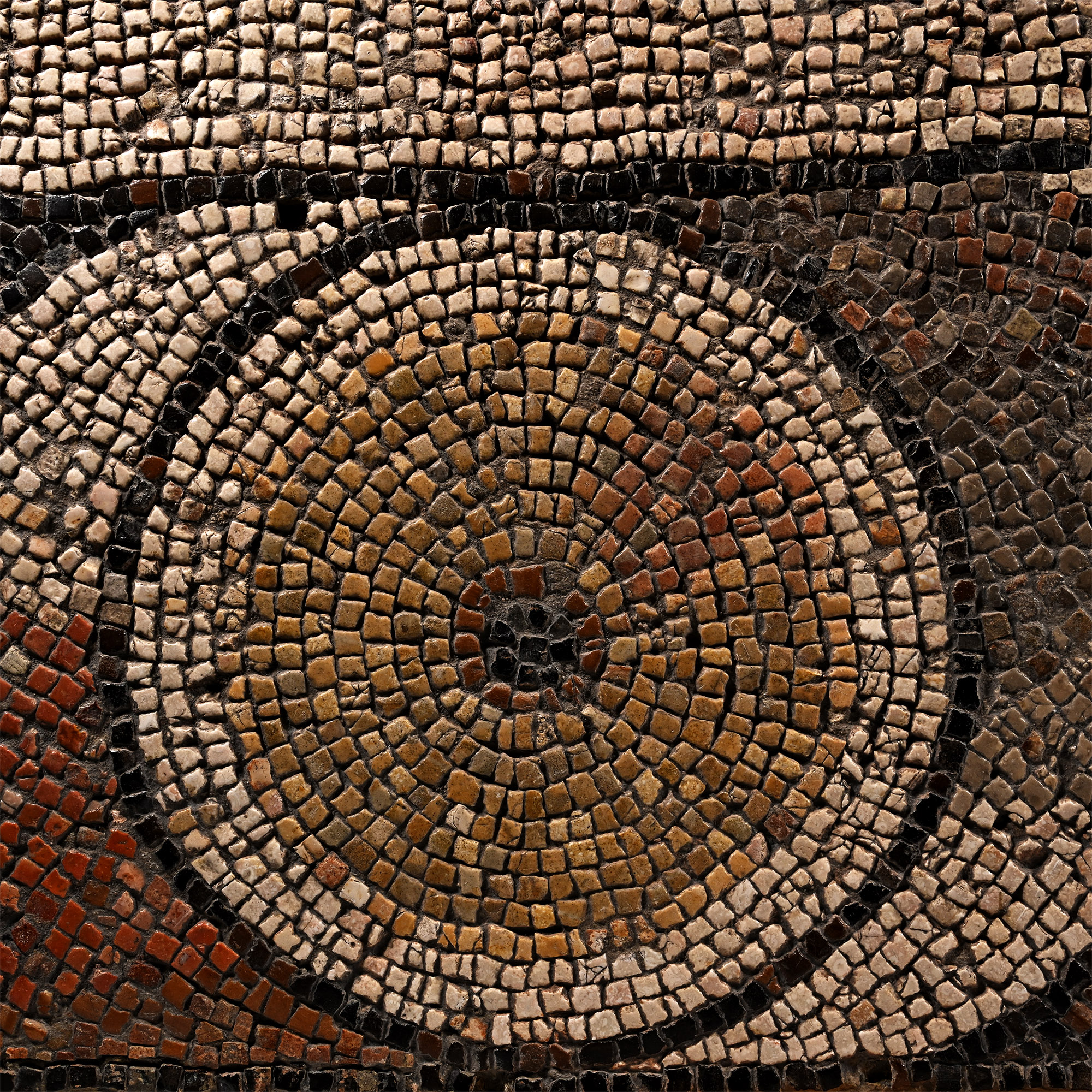 Roman Mosaic with Floral Motif