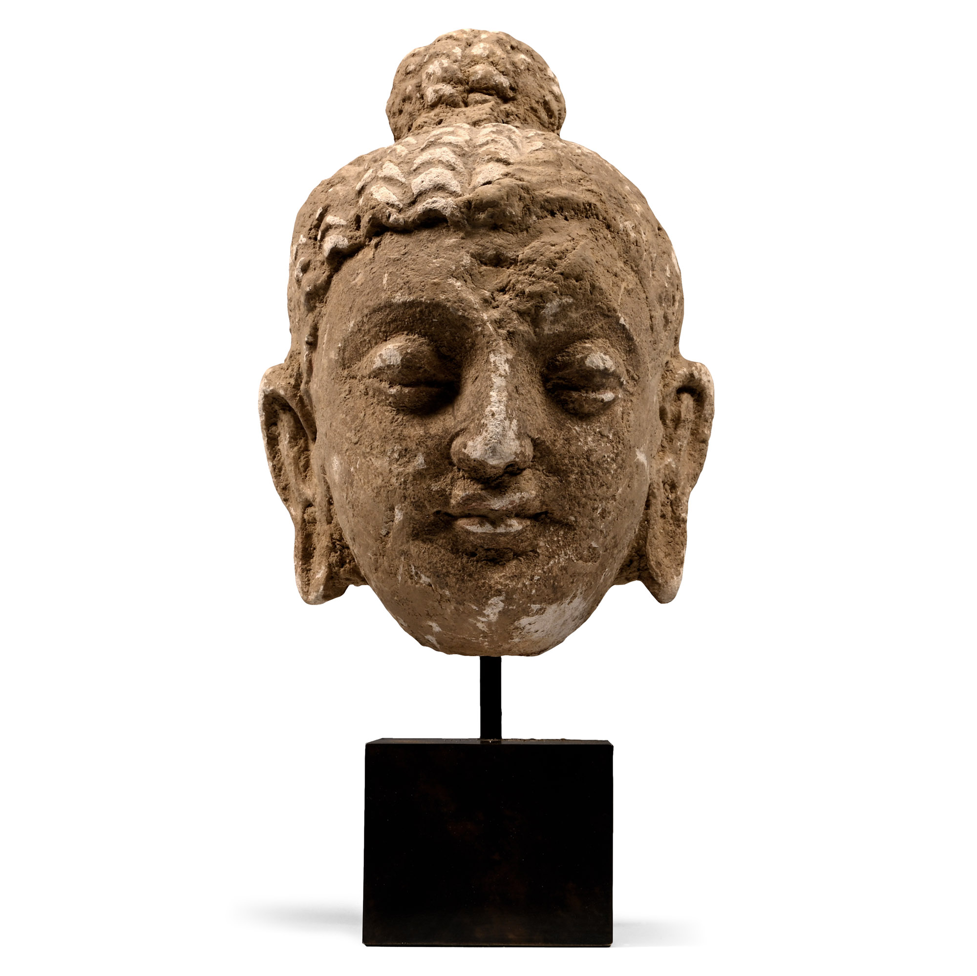 Gandharan Stucco Buddha Head