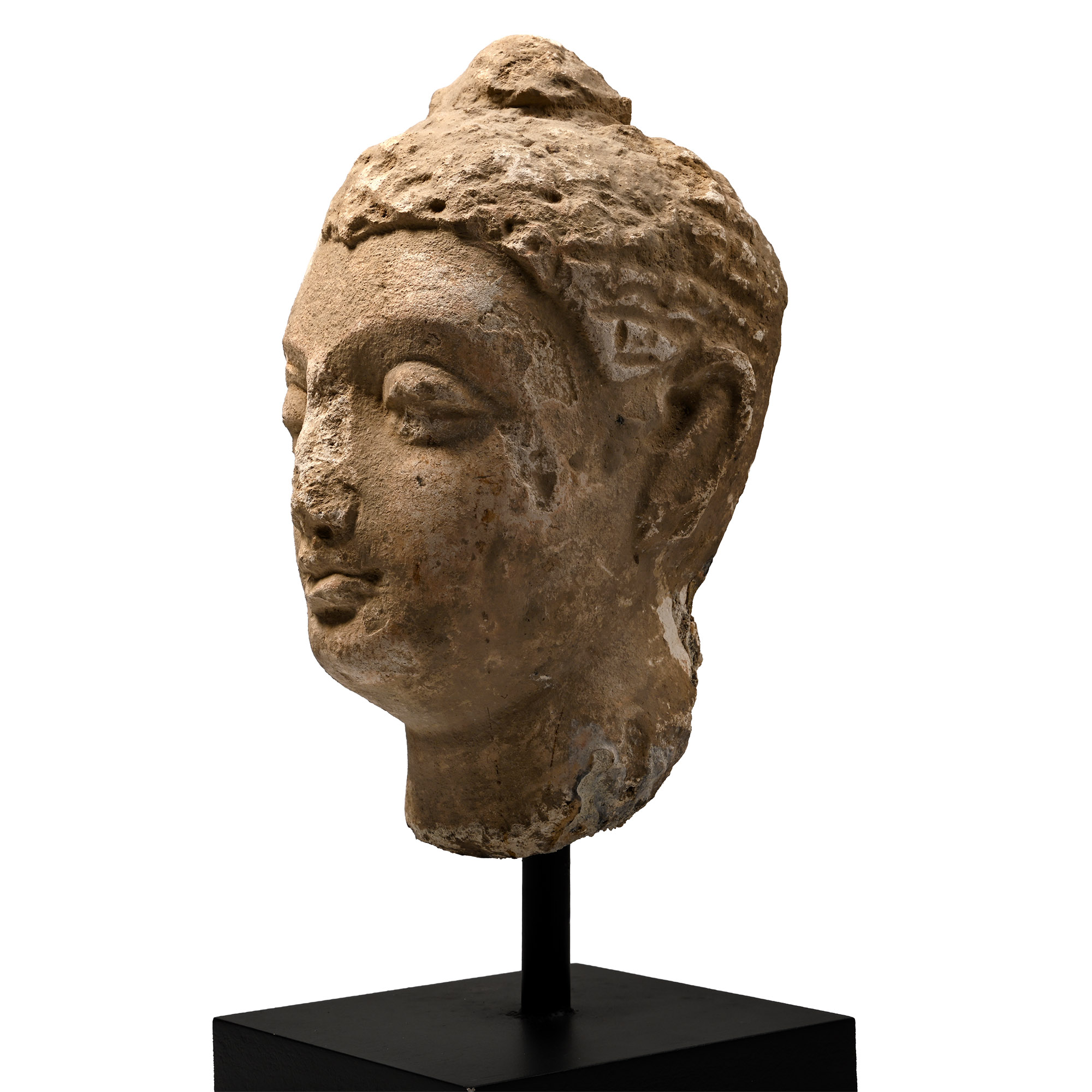 Gandharan Stucco Buddha Head