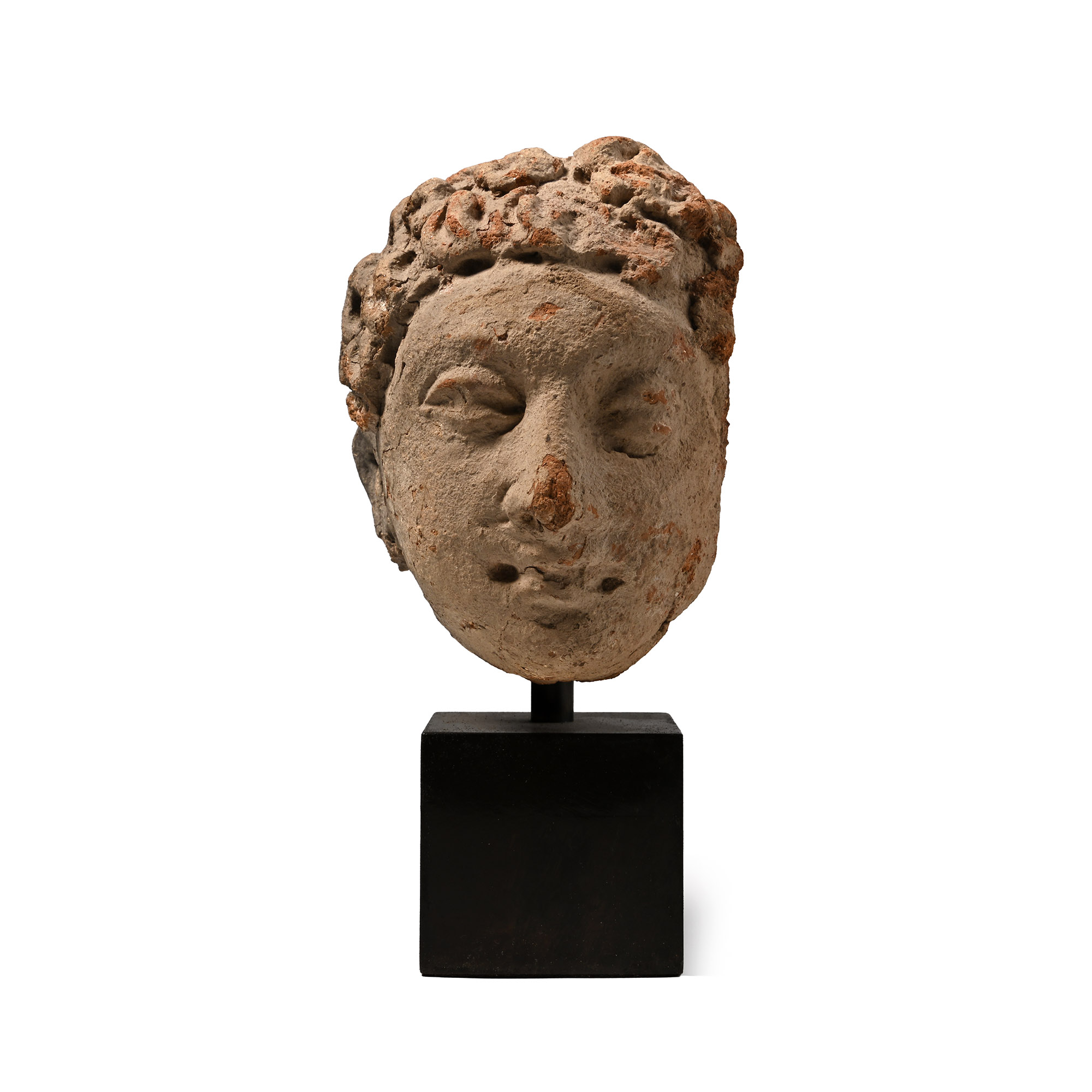 Gandharan Terracotta Buddha Head