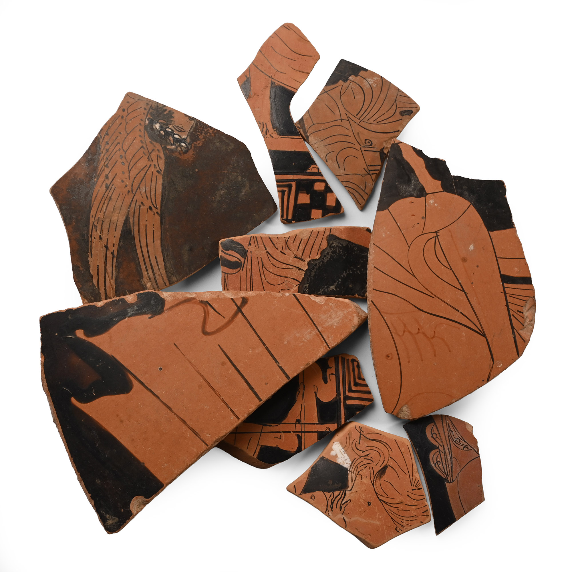 Attic Pottery Collection