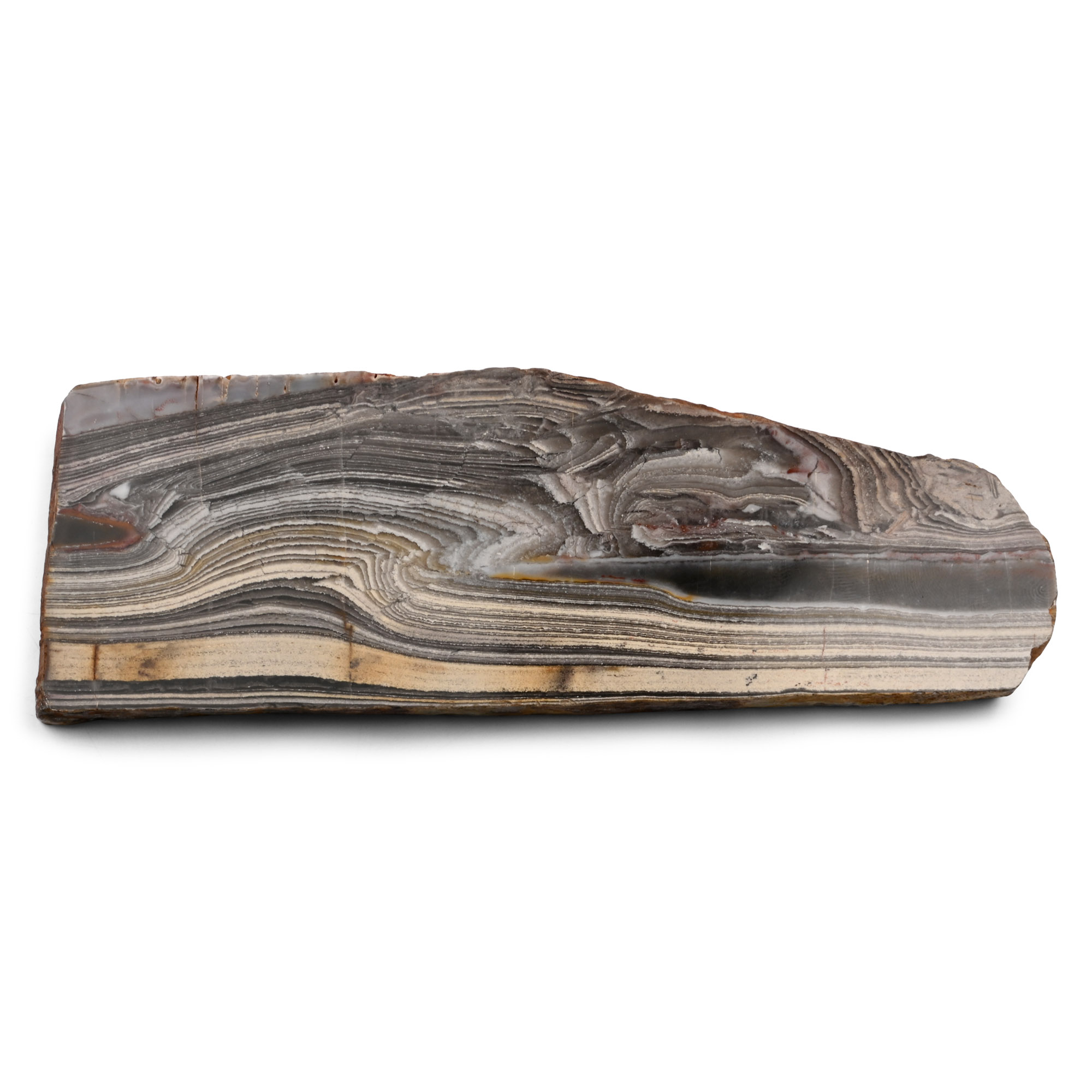 Western Australian Polished Jerrinah Formation Stromatolite Section