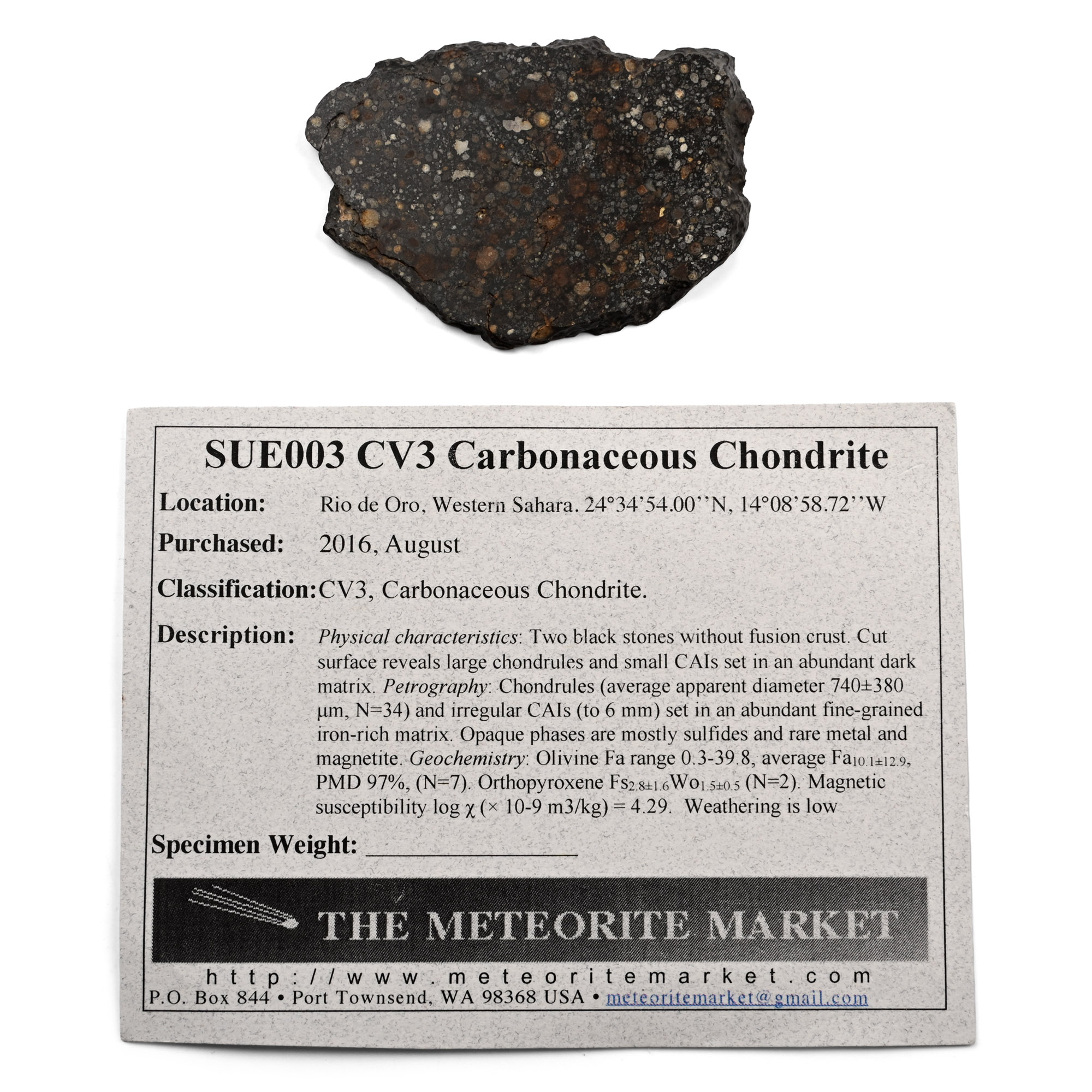 CV3 Carbonaceous Chondrite Cut and Polished Meteorite Slice