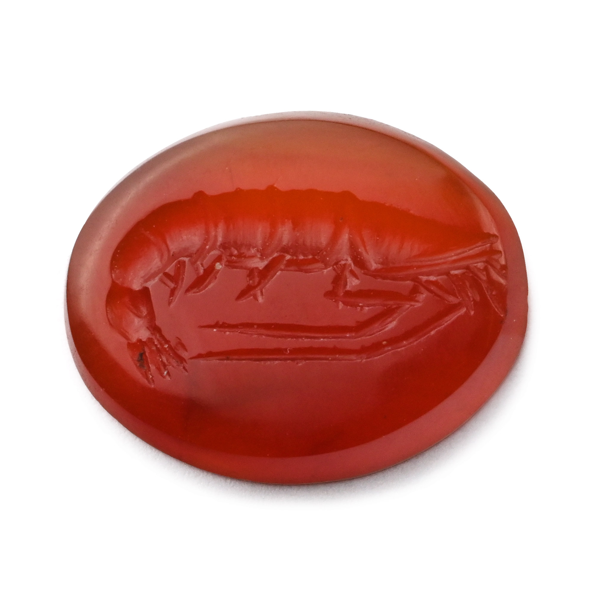 Roman Carnelian Gemstone with Shrimp