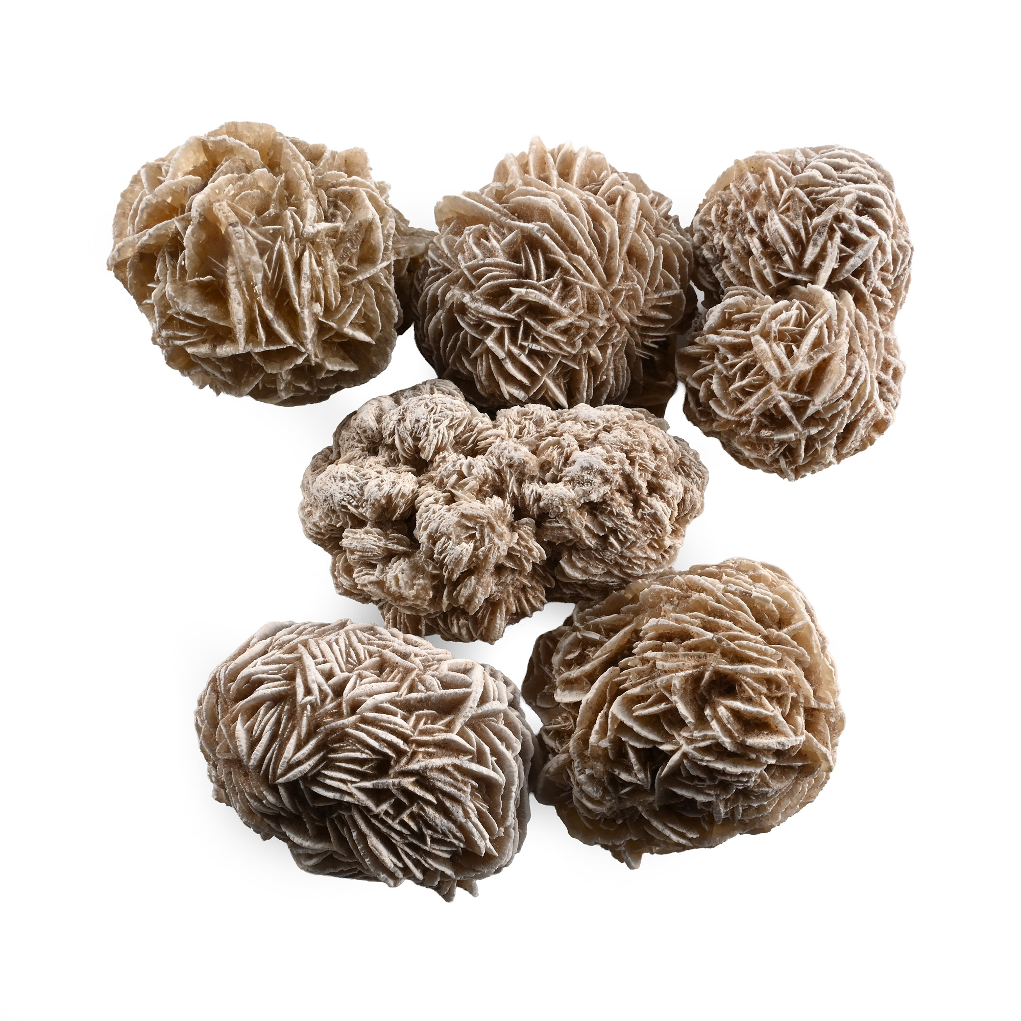 Large Desert Rose Mineral Specimen Collection
