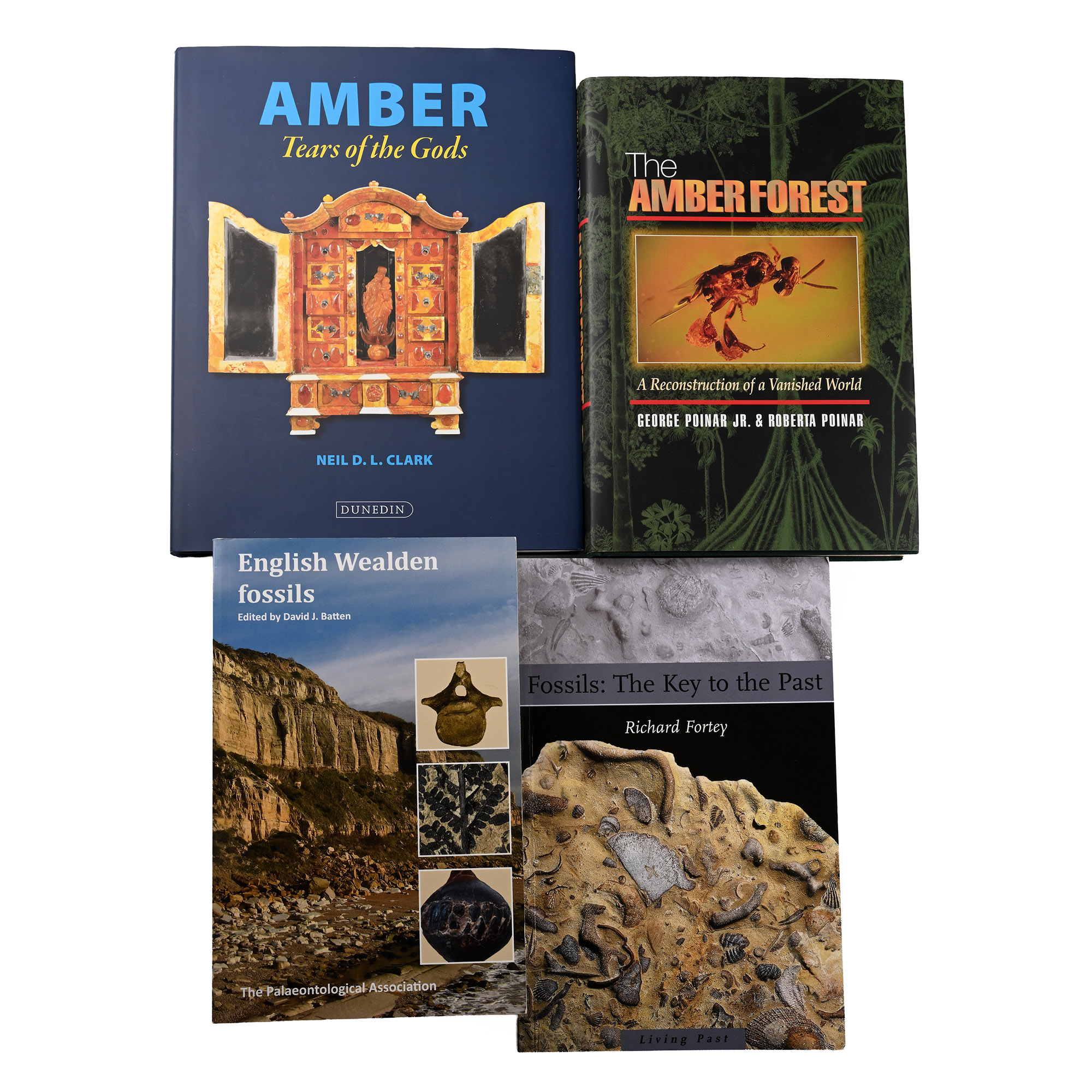 Books on Amber and Fossils - 4 Titles