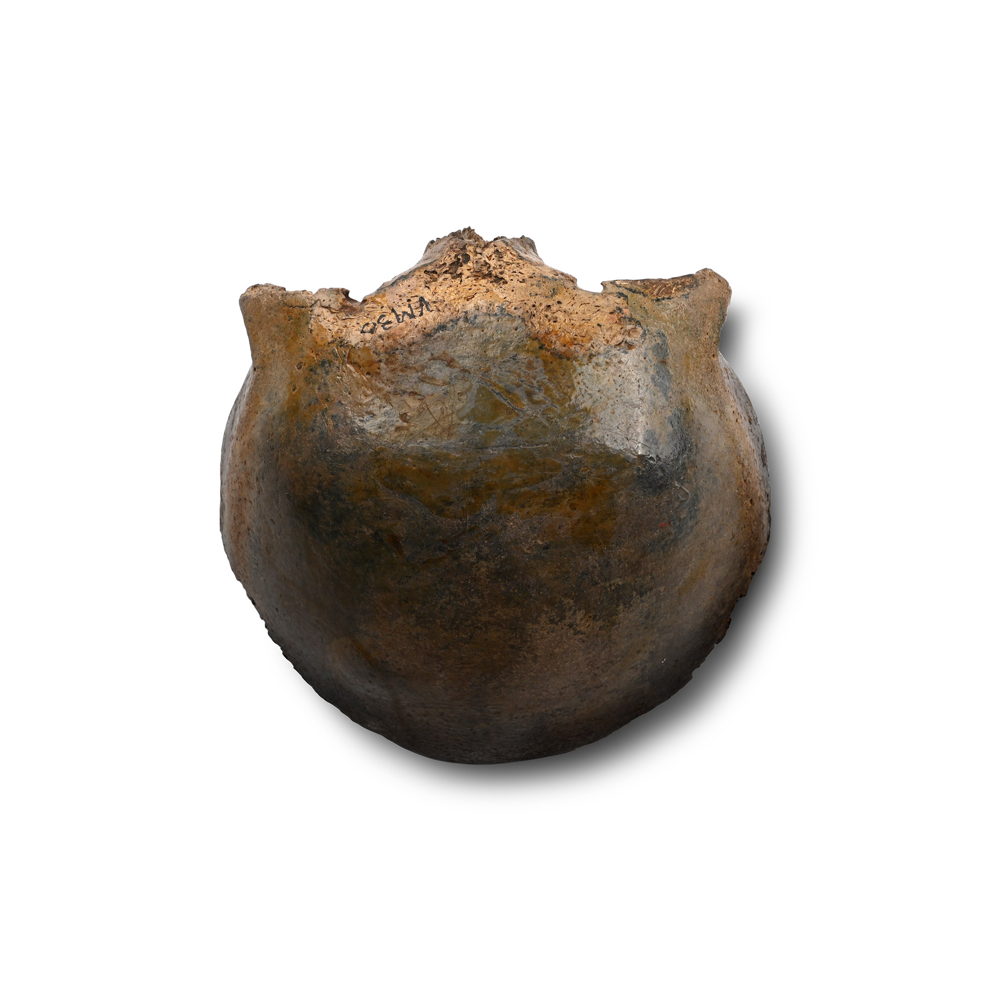 Saxon Human Skull Cap