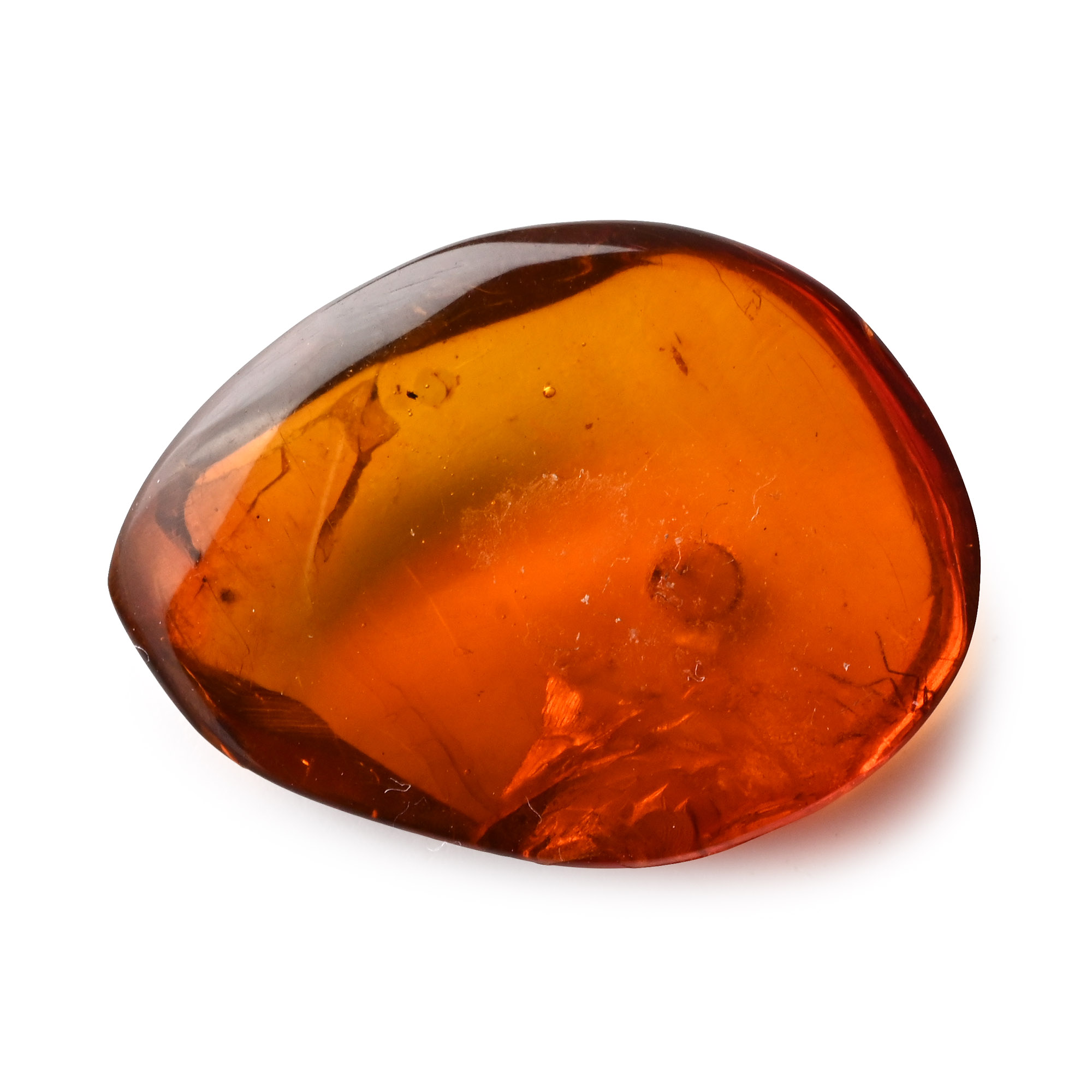 Insect Legs in Polished Amber