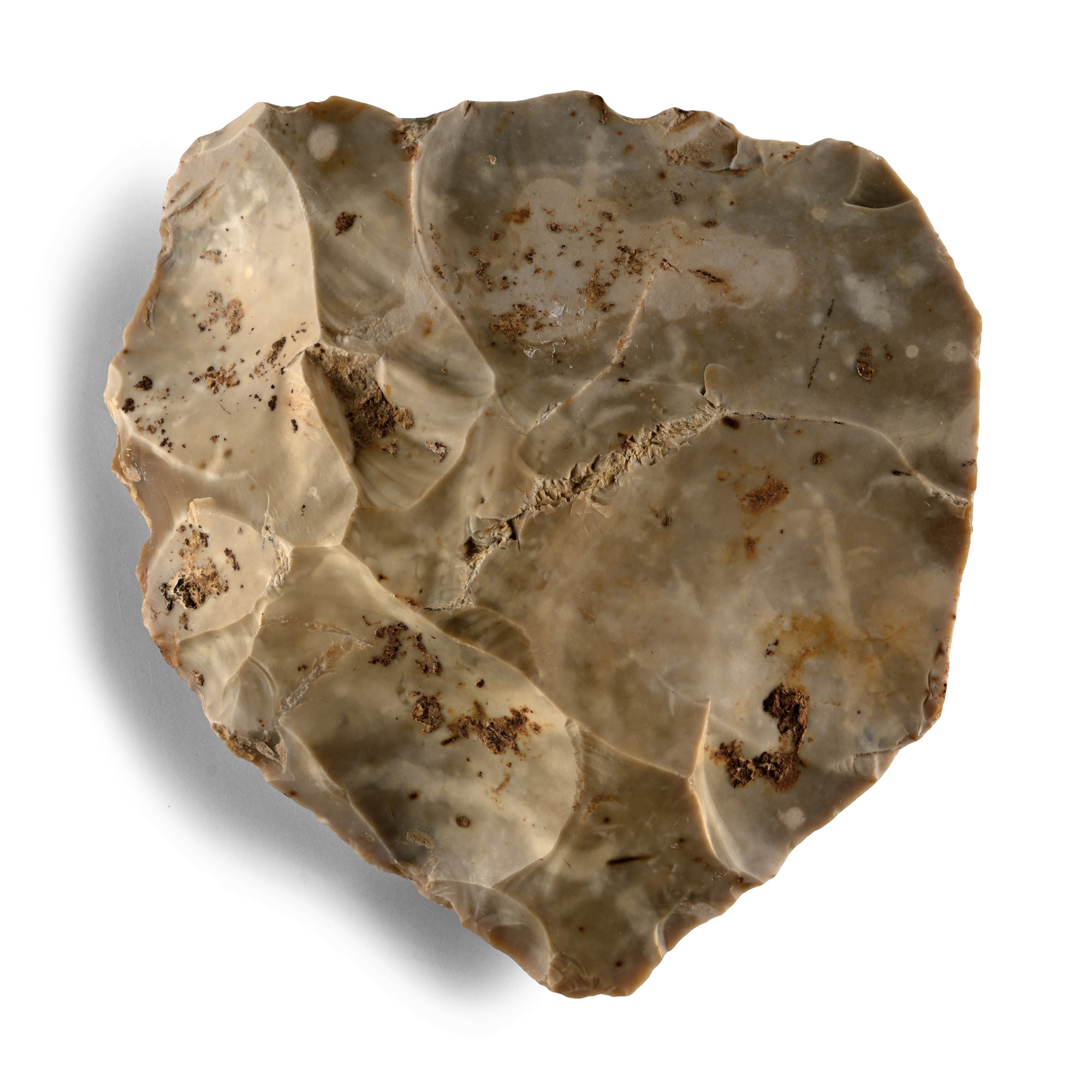Large Stone Age Levellious Point Core