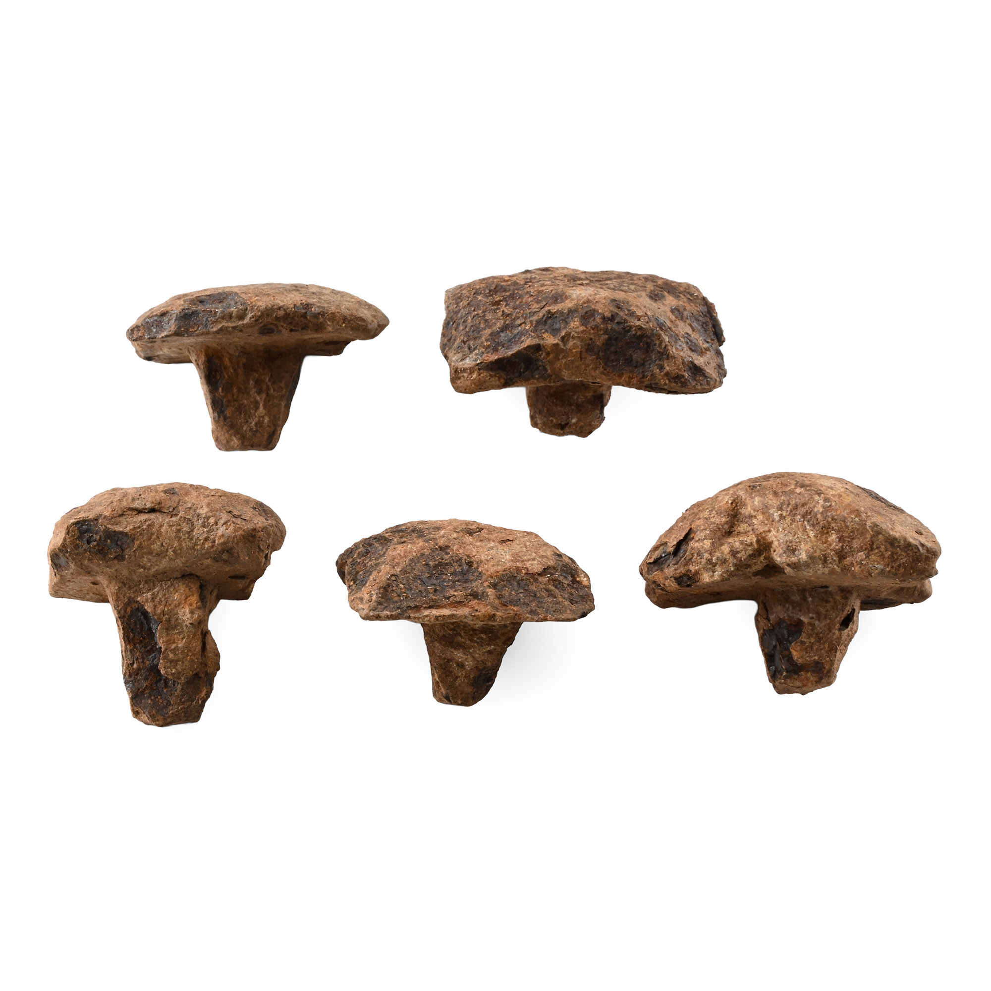 Anglo-Saxon Iron Nail Collection