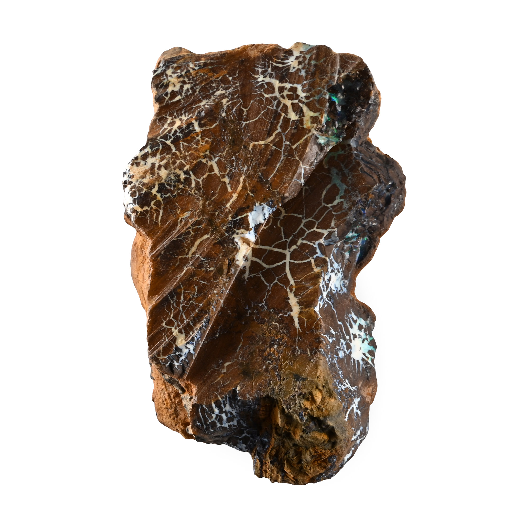 Boulder Opal Mineral Display Specimen