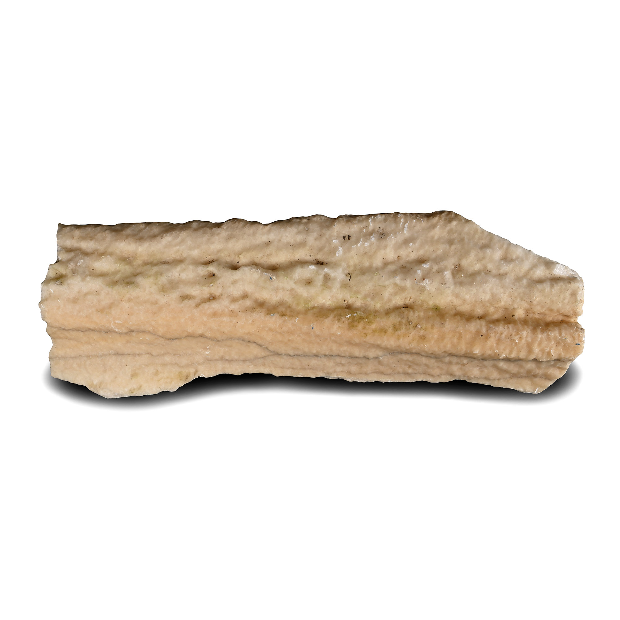 Large Cave Stalagmite Section