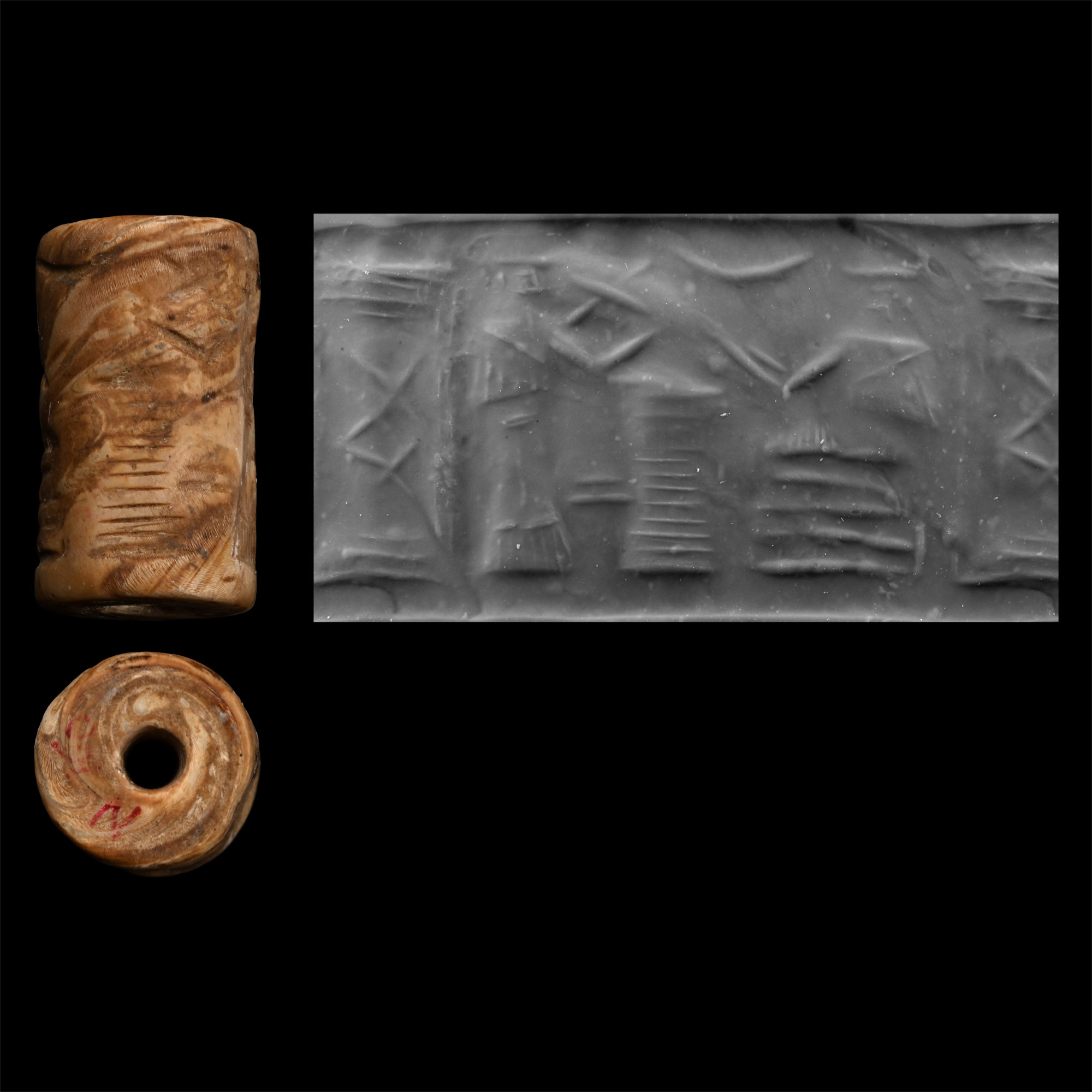 Early Akkadian Shell Cylinder Seal with Unclassified Snake God