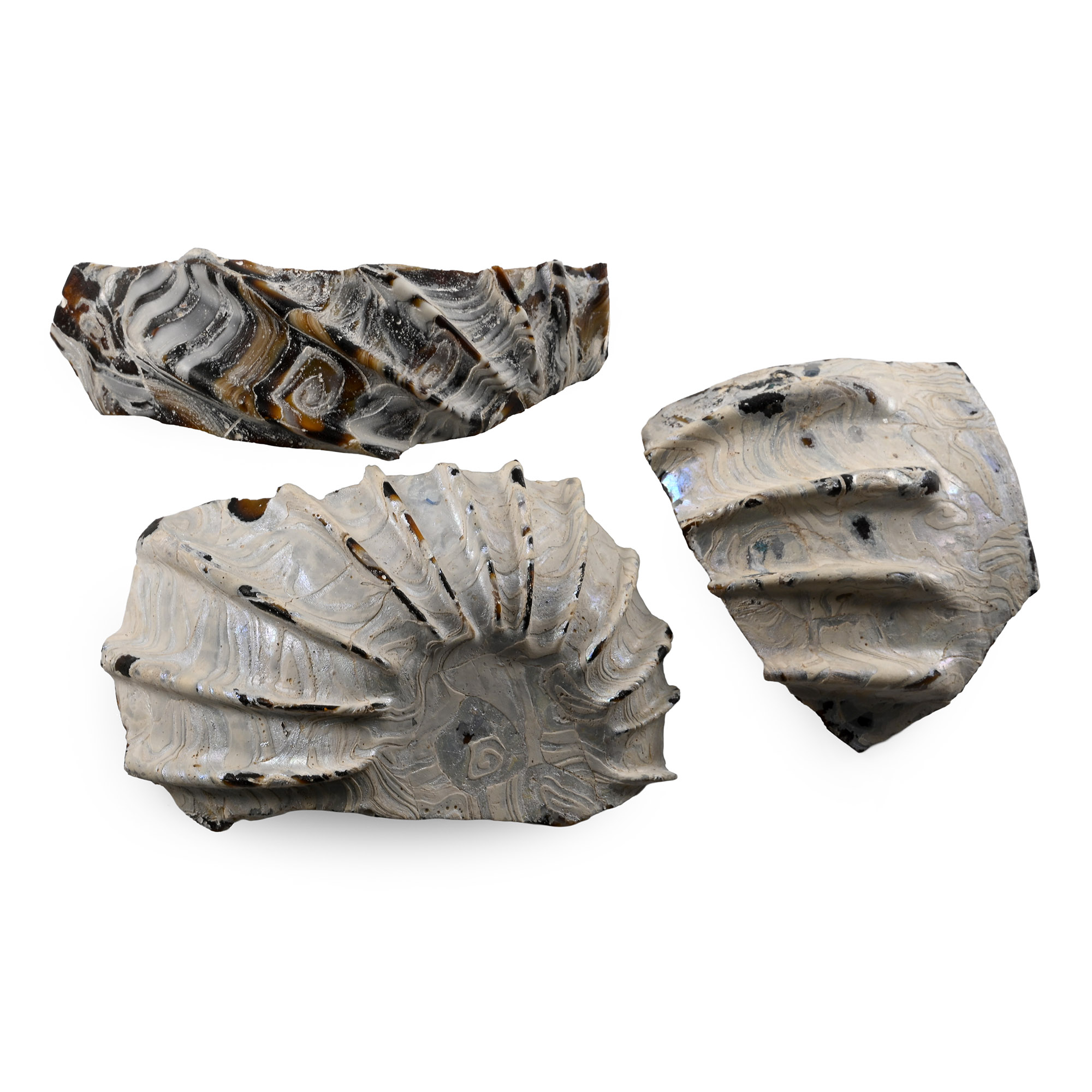 Roman Marbled Glass Fragments