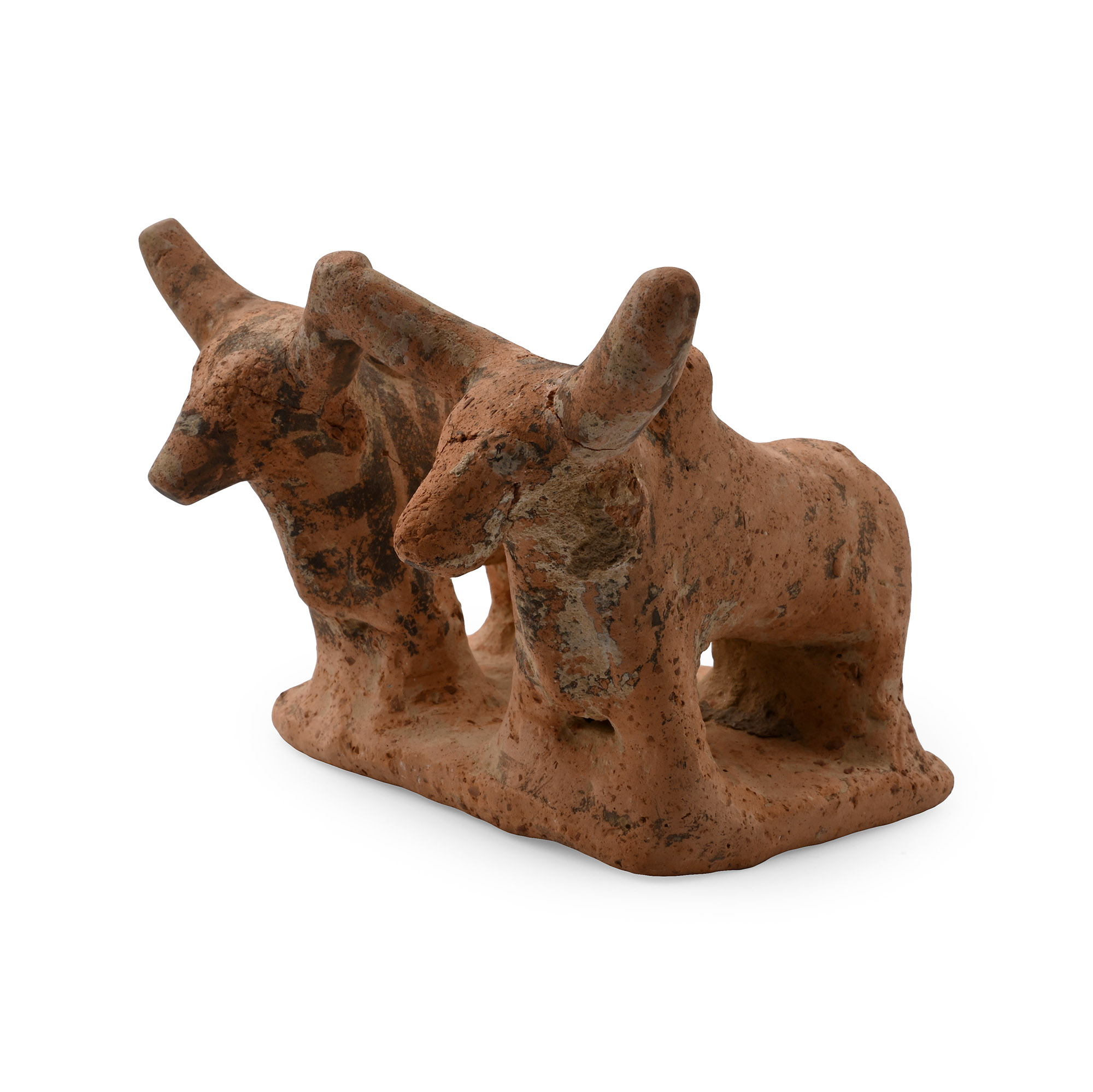 Indus Valley Terracotta Votive Bull Pair