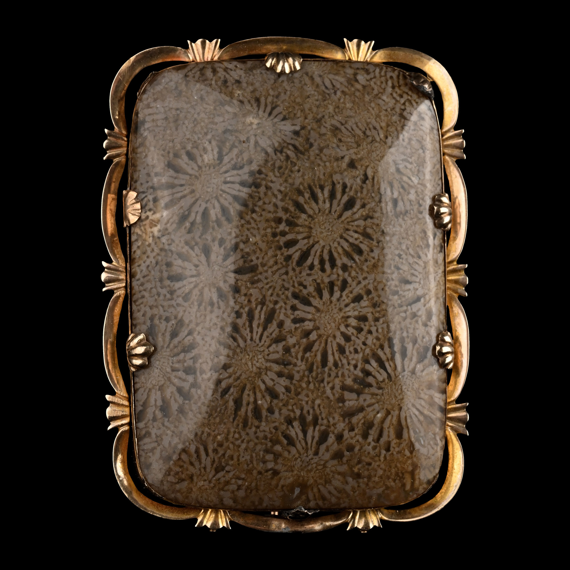 Victorian Silver-Gilt Brooch with Fossilised Plaque