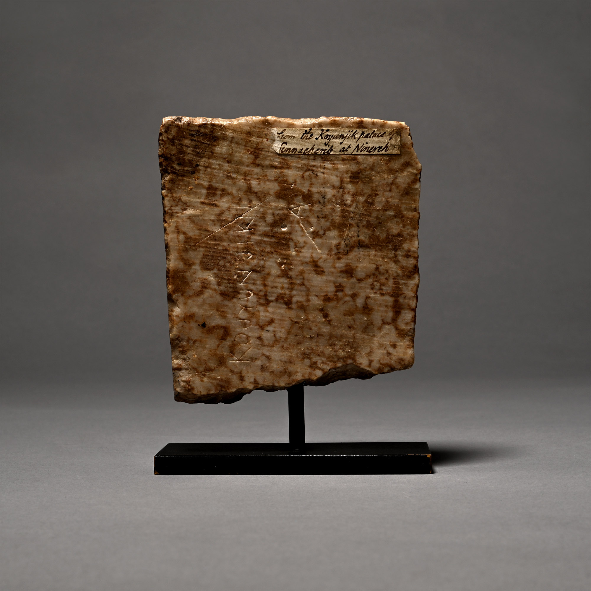 Assyrian Gypsum Relief with Head of a Bearded Man