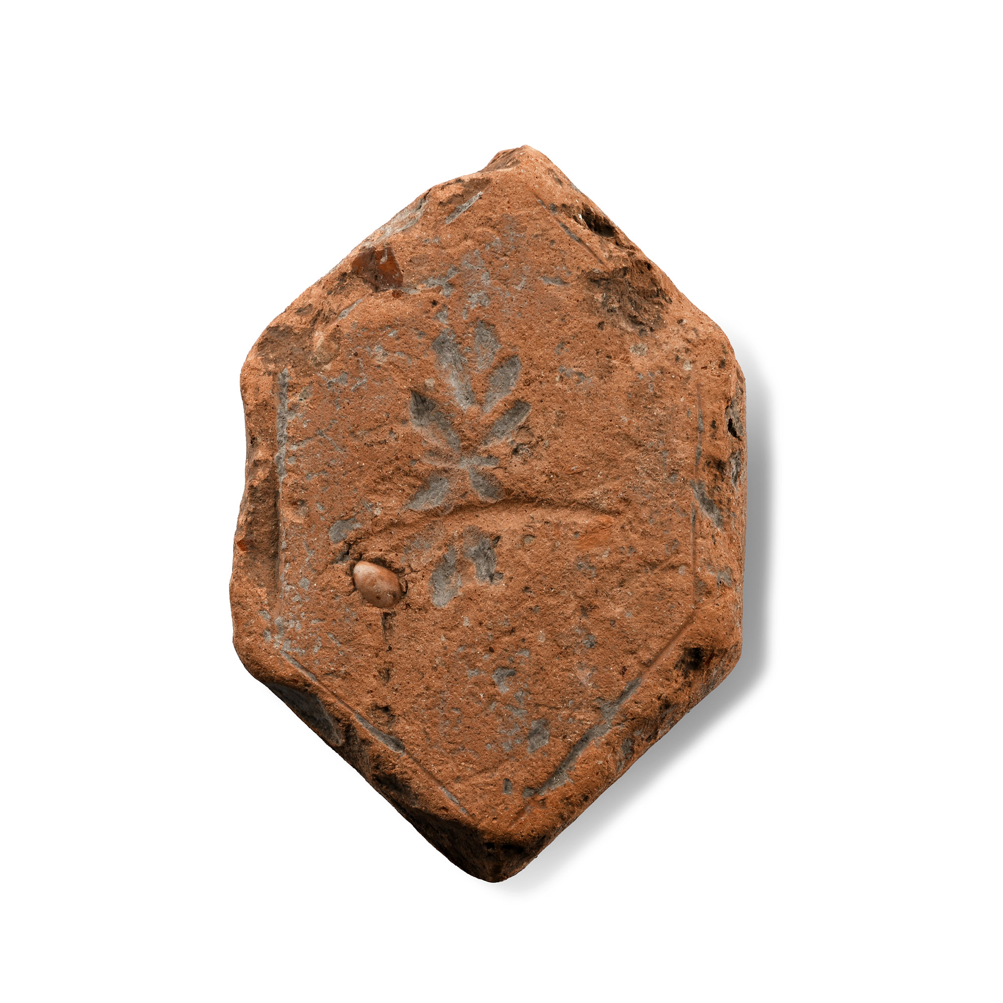 Roman Hexagonal Tile with Motif
