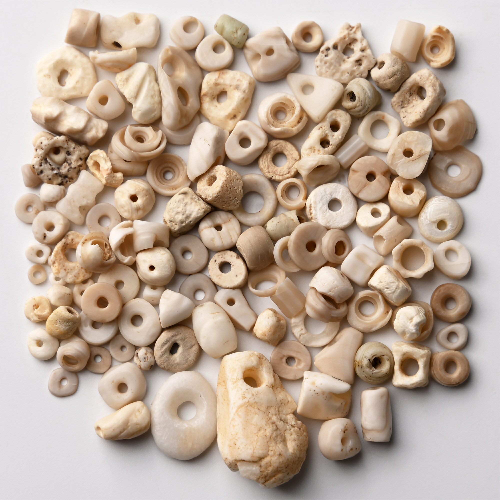 Western Asiatic White Stone and Shell Bead Collection