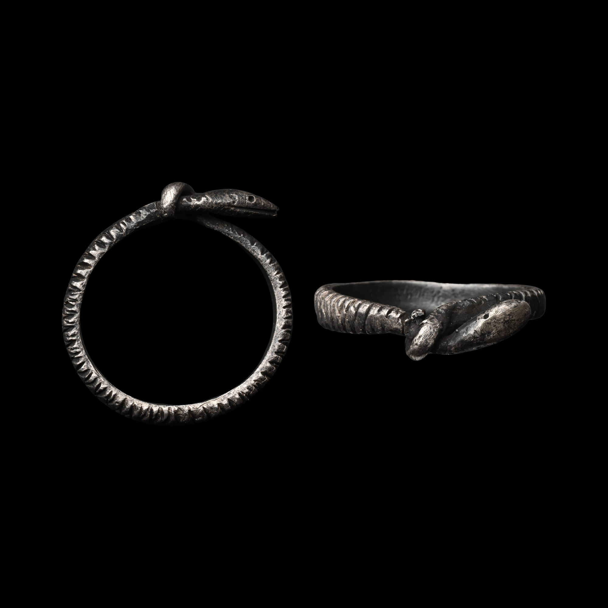 Romano-Egyptian Silver Snake Ring