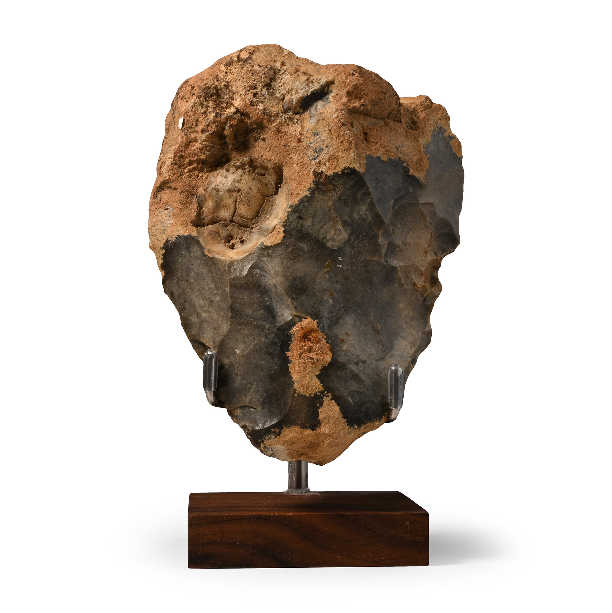 French Stone Age 'Neanderthal' Handaxe with Fossil Echinoid