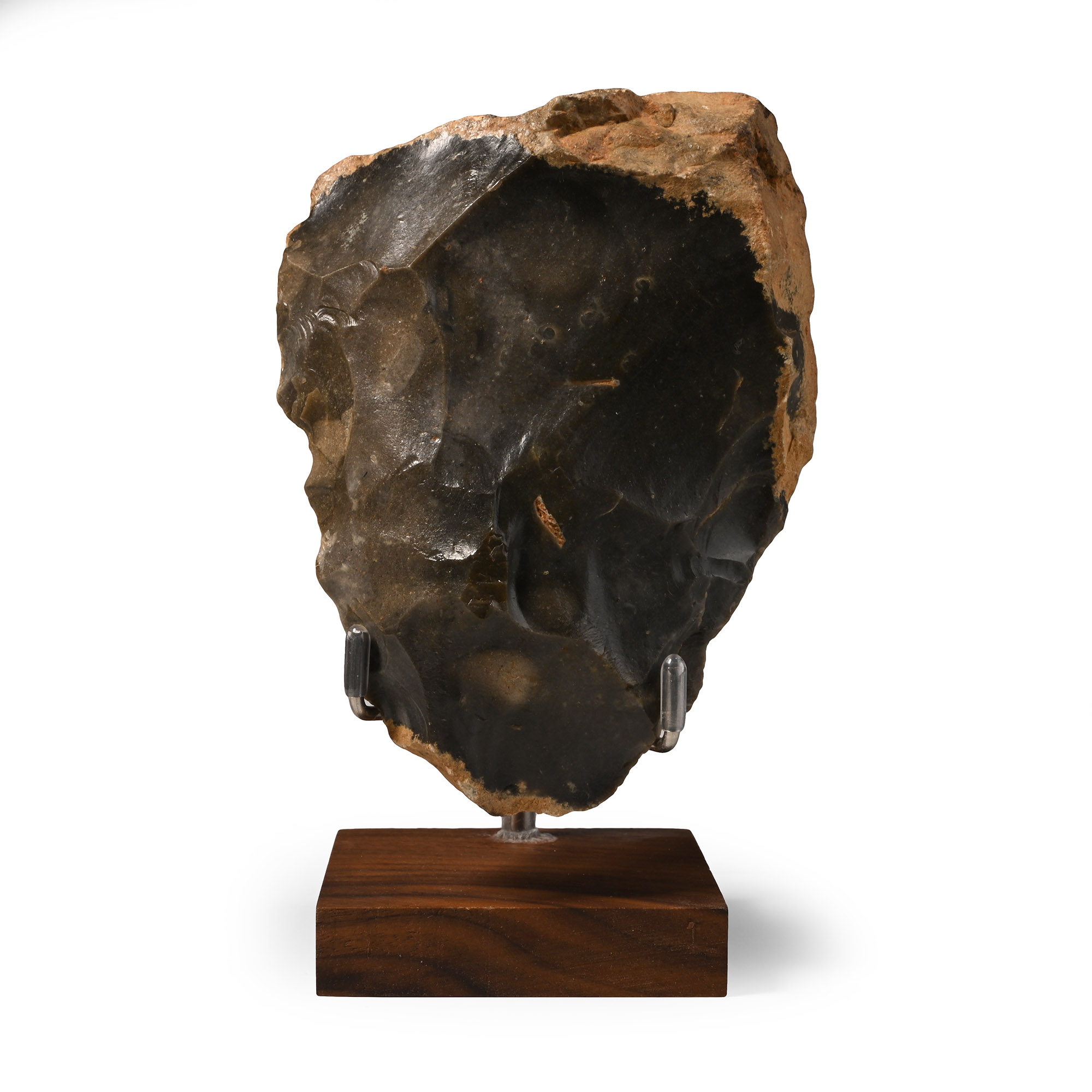 French Stone Age 'Neanderthal' Handaxe with Fossil Echinoid