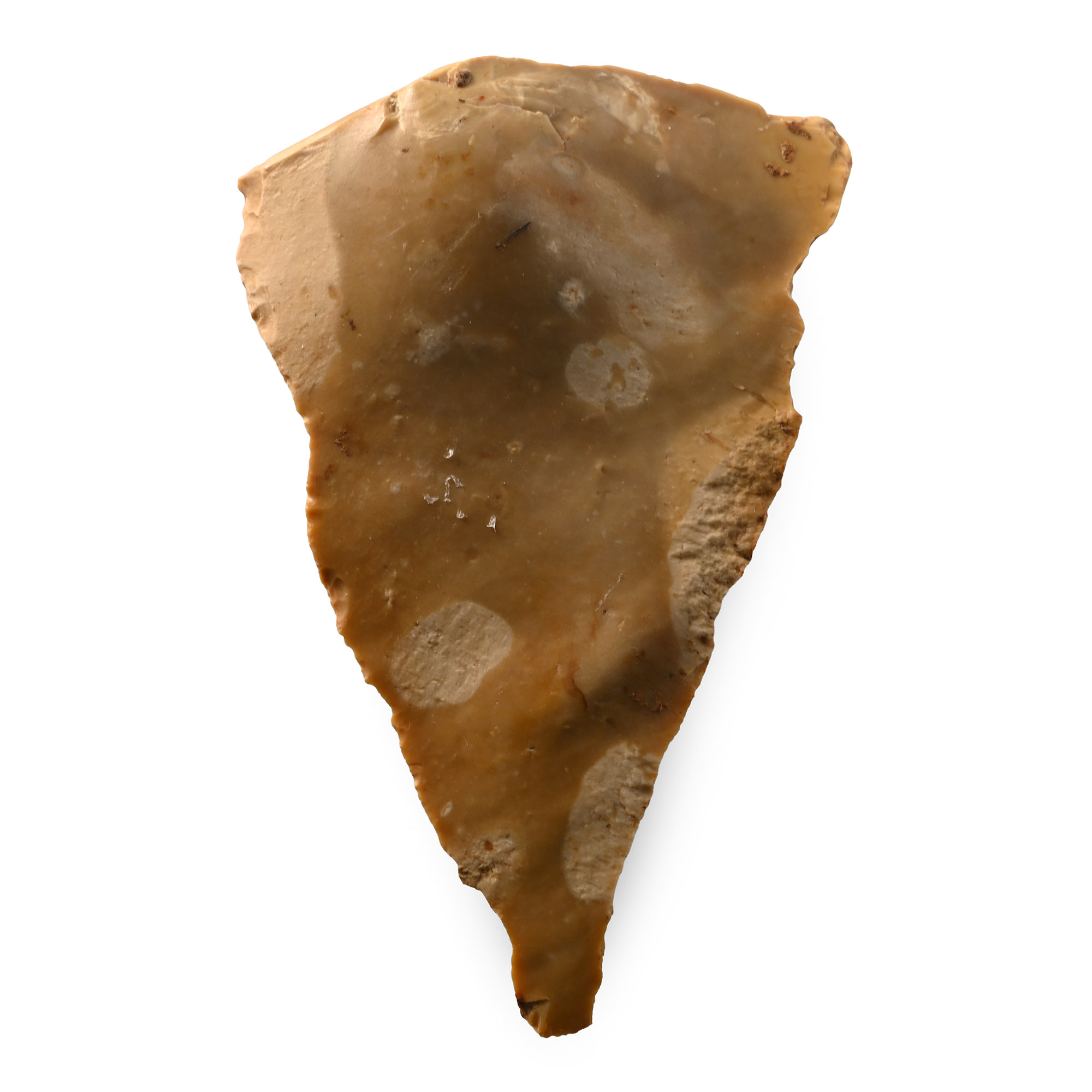French Stone Age 'Mousterian' Levallois Spear Tip