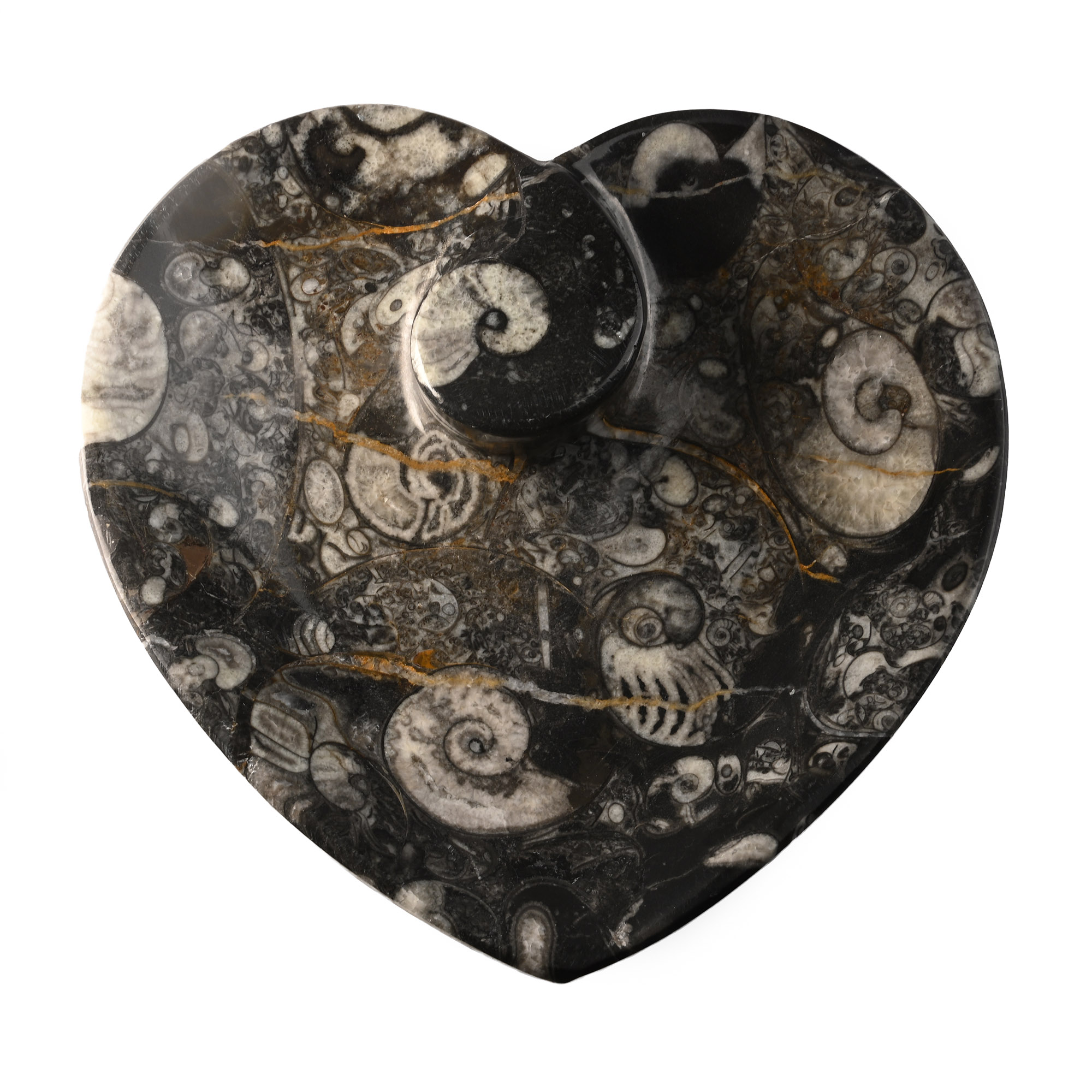 Fossil Goniatite Heart-Shaped Trinket Tray