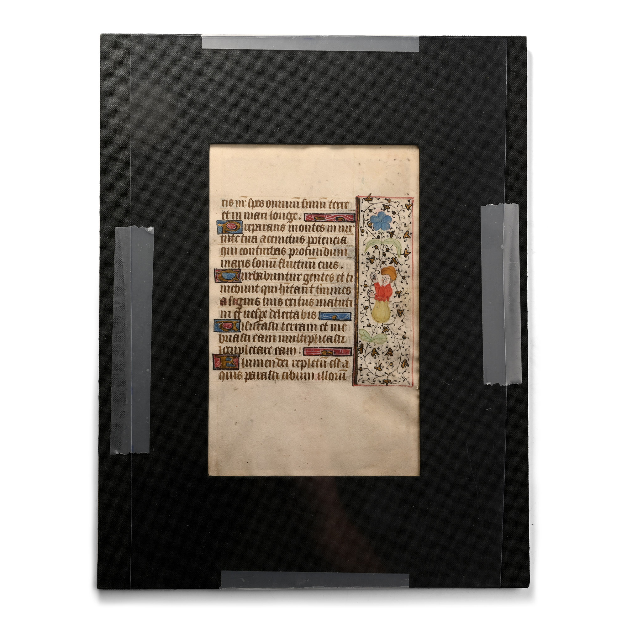 Illuminated Medieval Book of Hours Manuscript Page