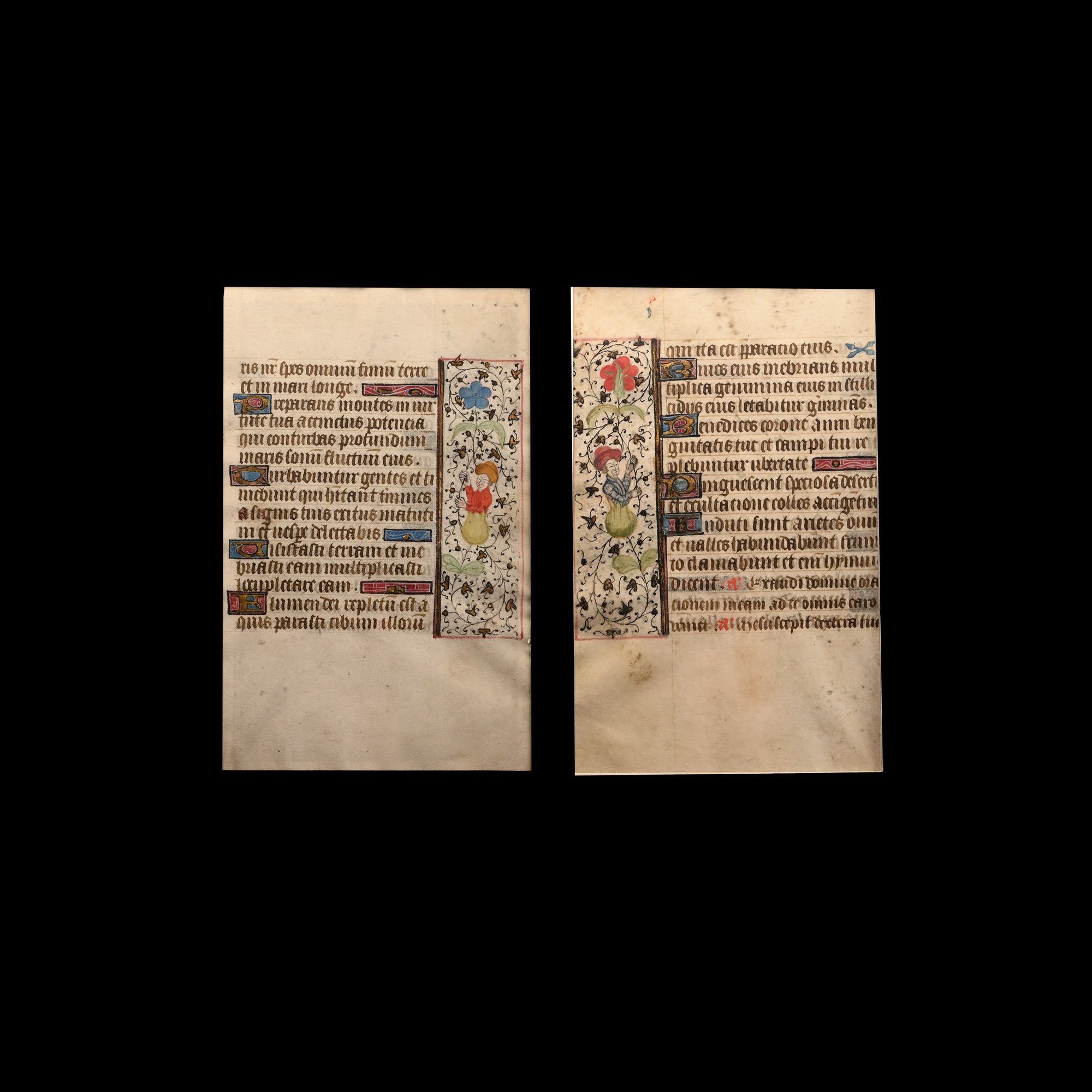 Illuminated Medieval Book of Hours Manuscript Page